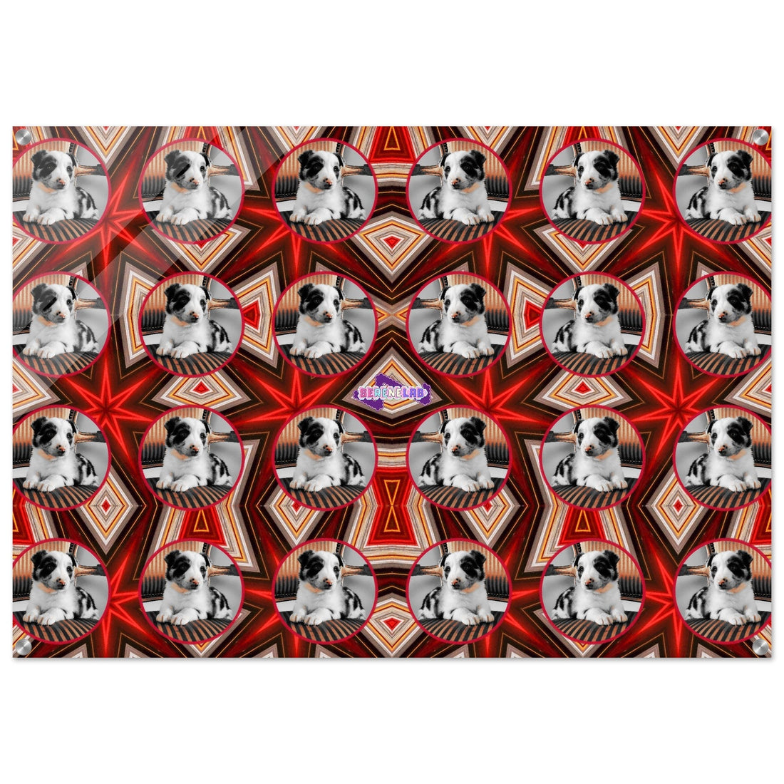 Kinetic Color: Capturing the Electric Energy of Border Collies in Modern Art