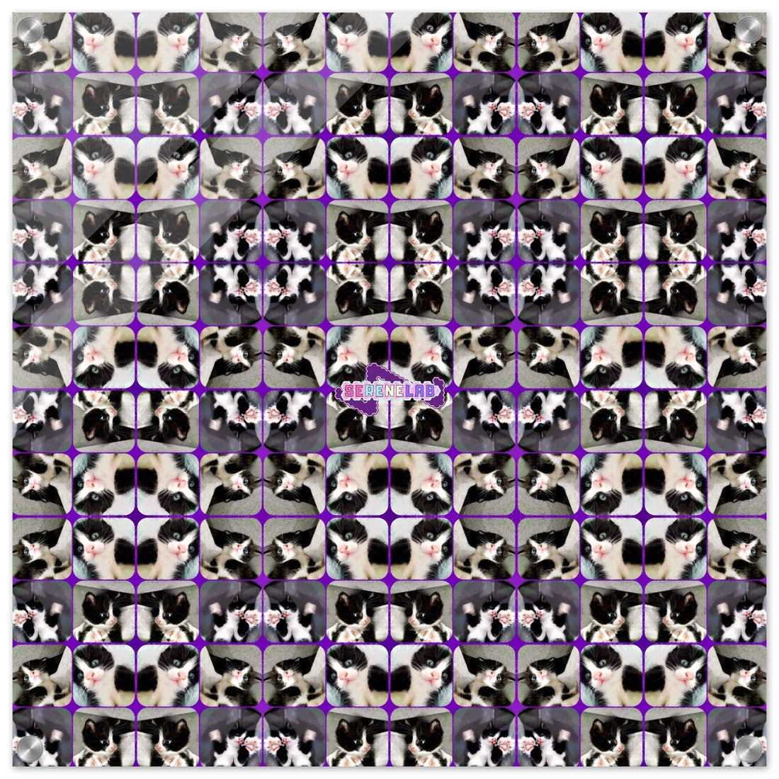 The Maximalist Cat Cafe: How to Celebrate Eclectic Feline Patterns