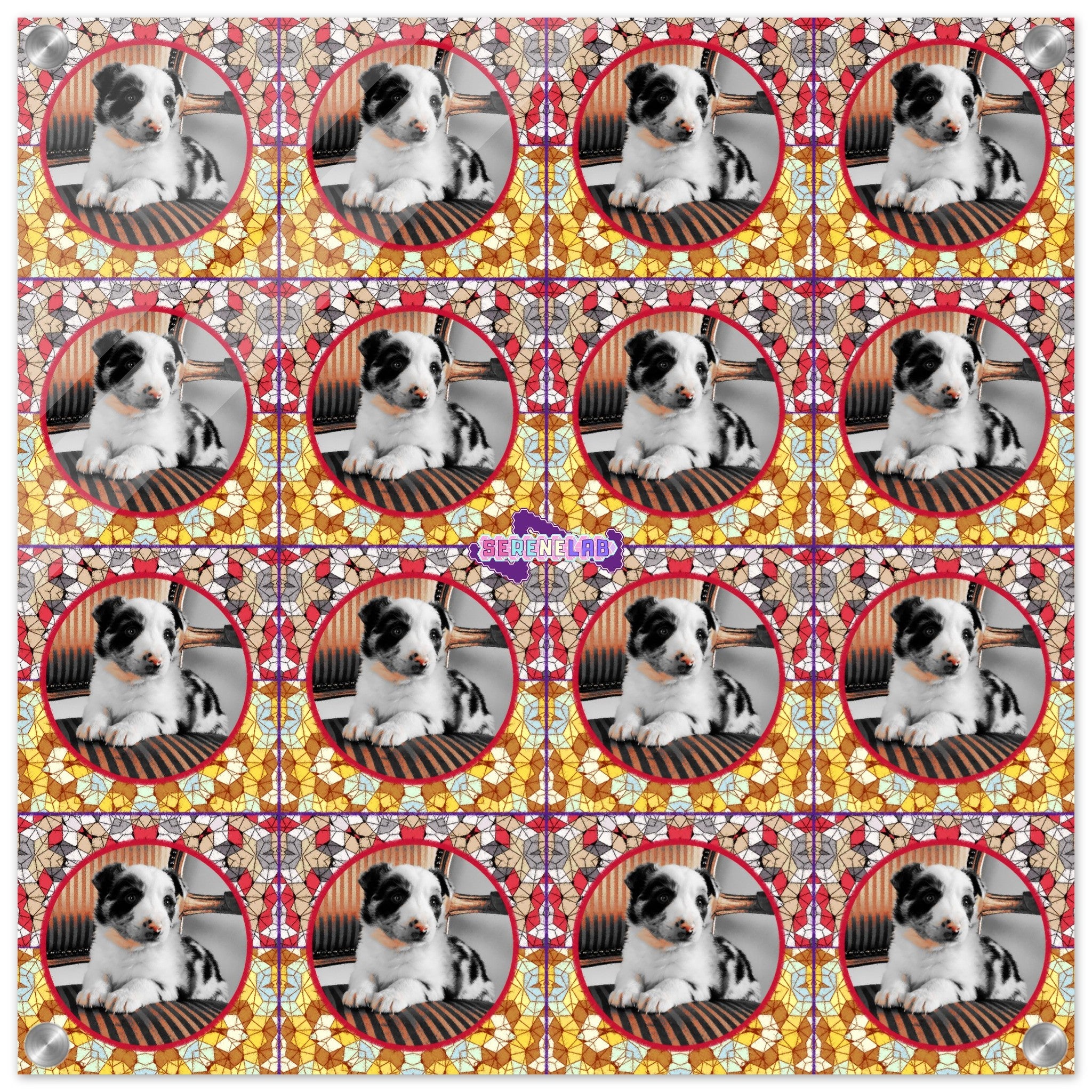 010dbf0b-4d47-49b5-854e-7f0df4e16fda