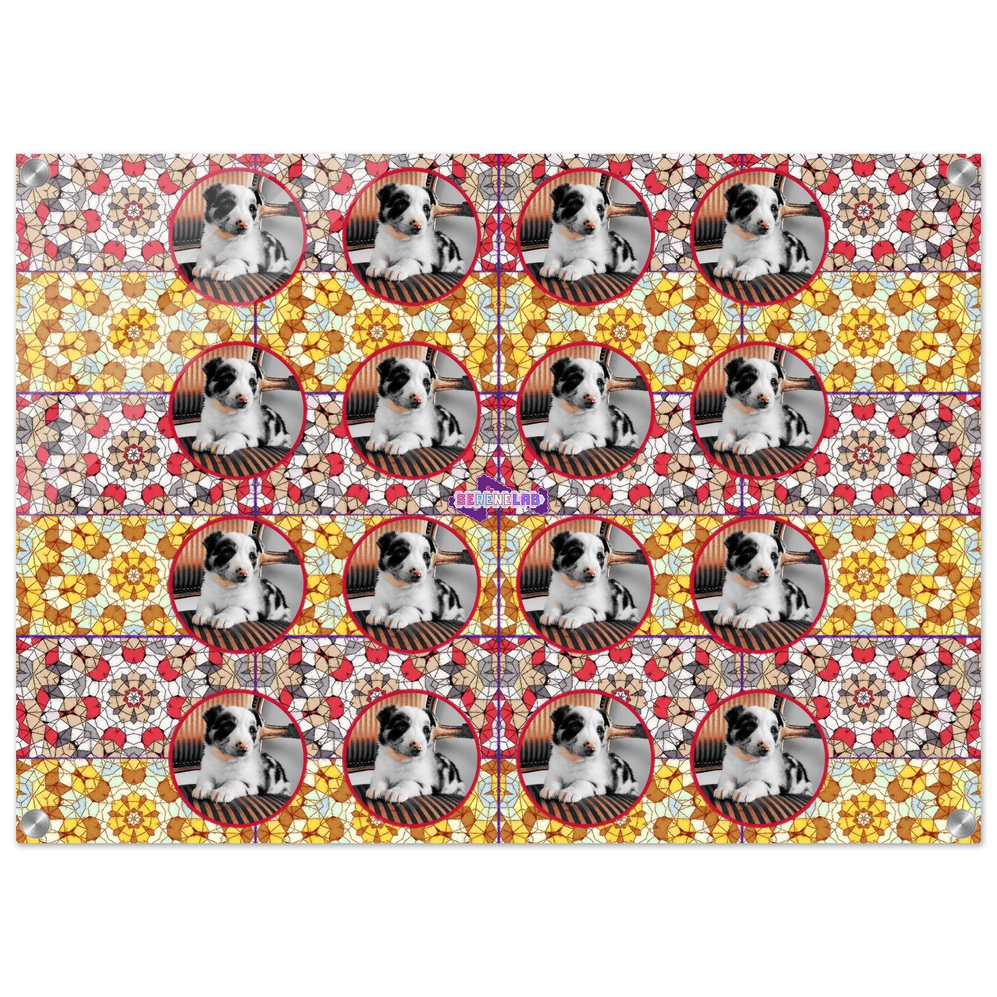 0185c9f1-aa4a-478f-be80-2c6482906e21