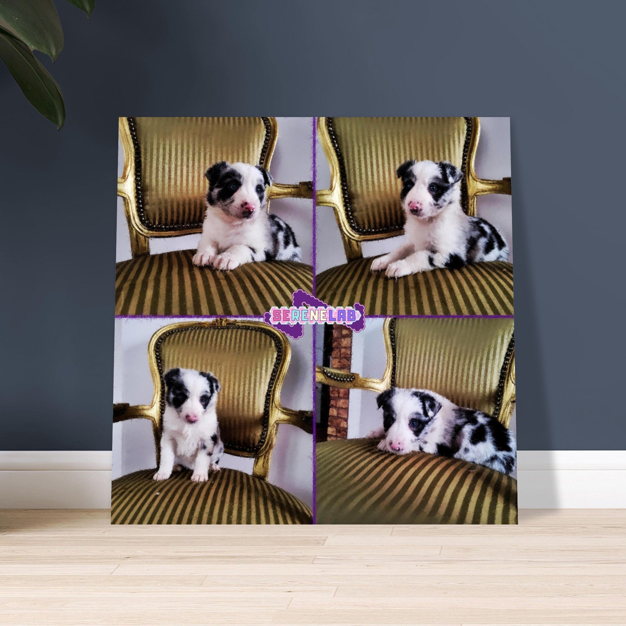 0524af80-aad4-46f3-8052-c81717ac1de3