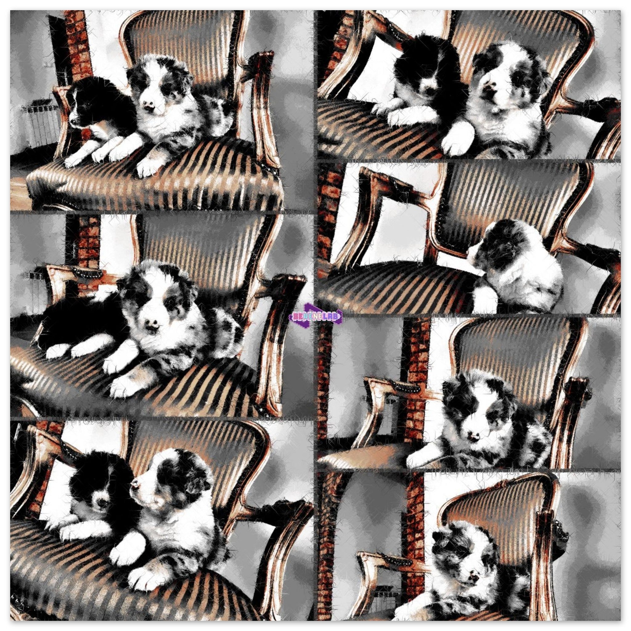 05c9db58-3157-4dc6-8e64-926f7db5dbdd