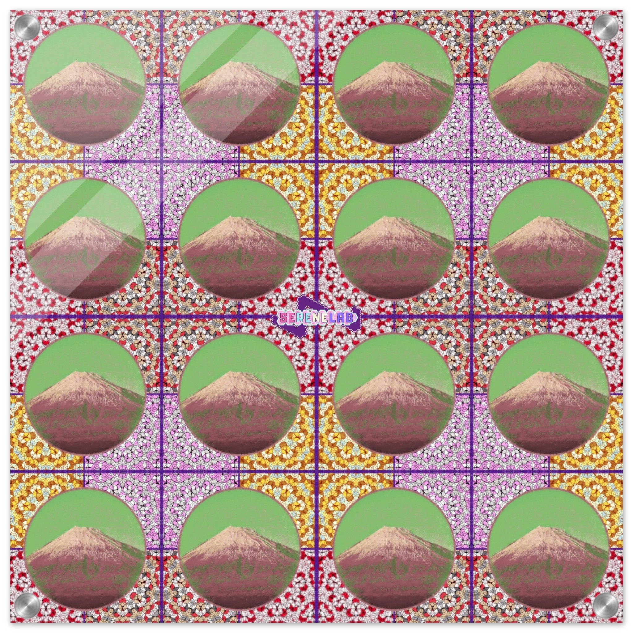 07ae9e13-b963-4770-9495-3832b1981cd5