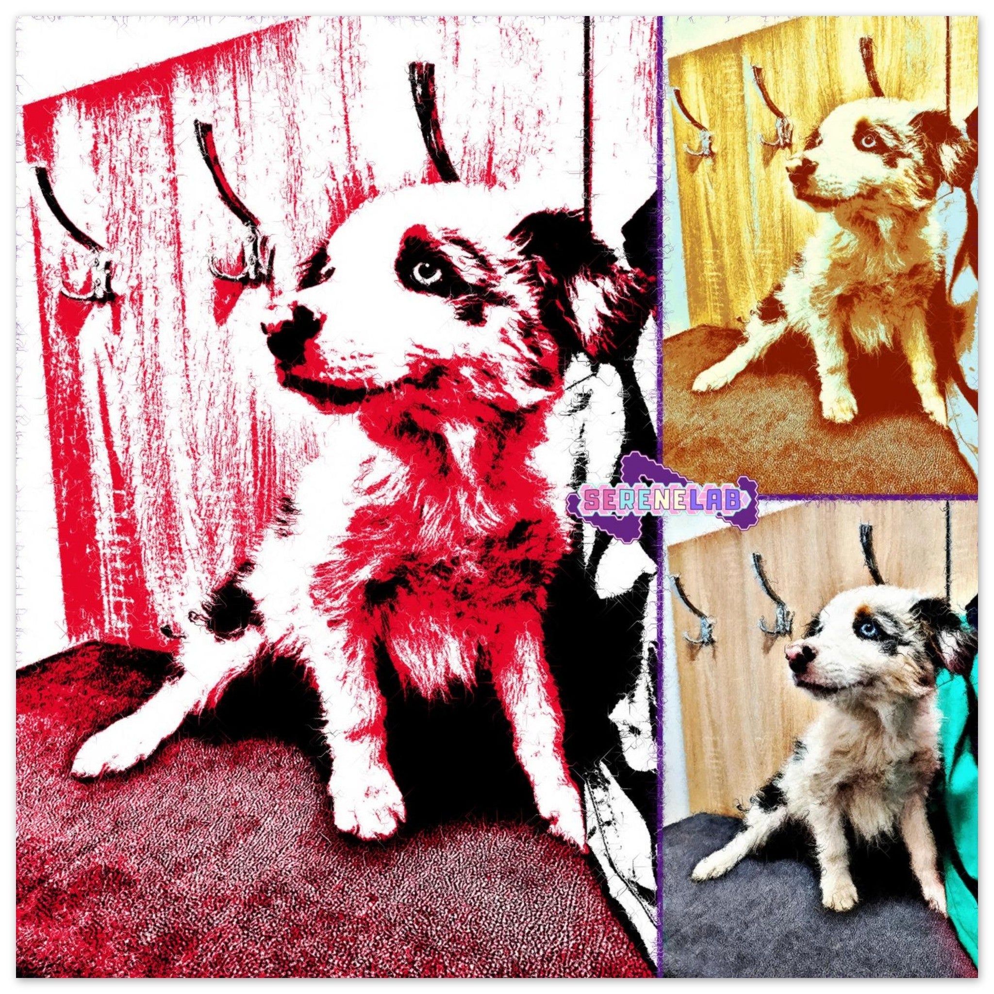 13f0172a-c772-4d9b-bd93-87cdbc45b0fb