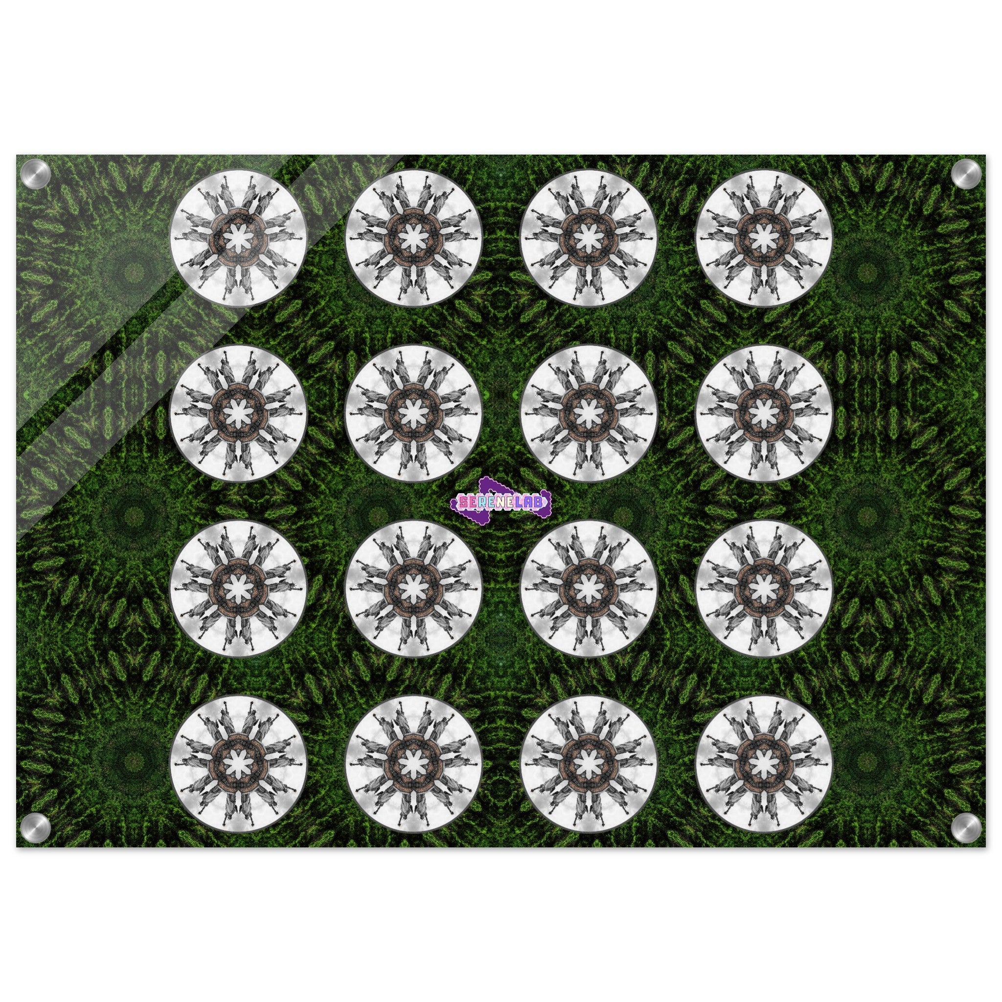 1465b50d-783a-4601-b1ca-b263070d912f