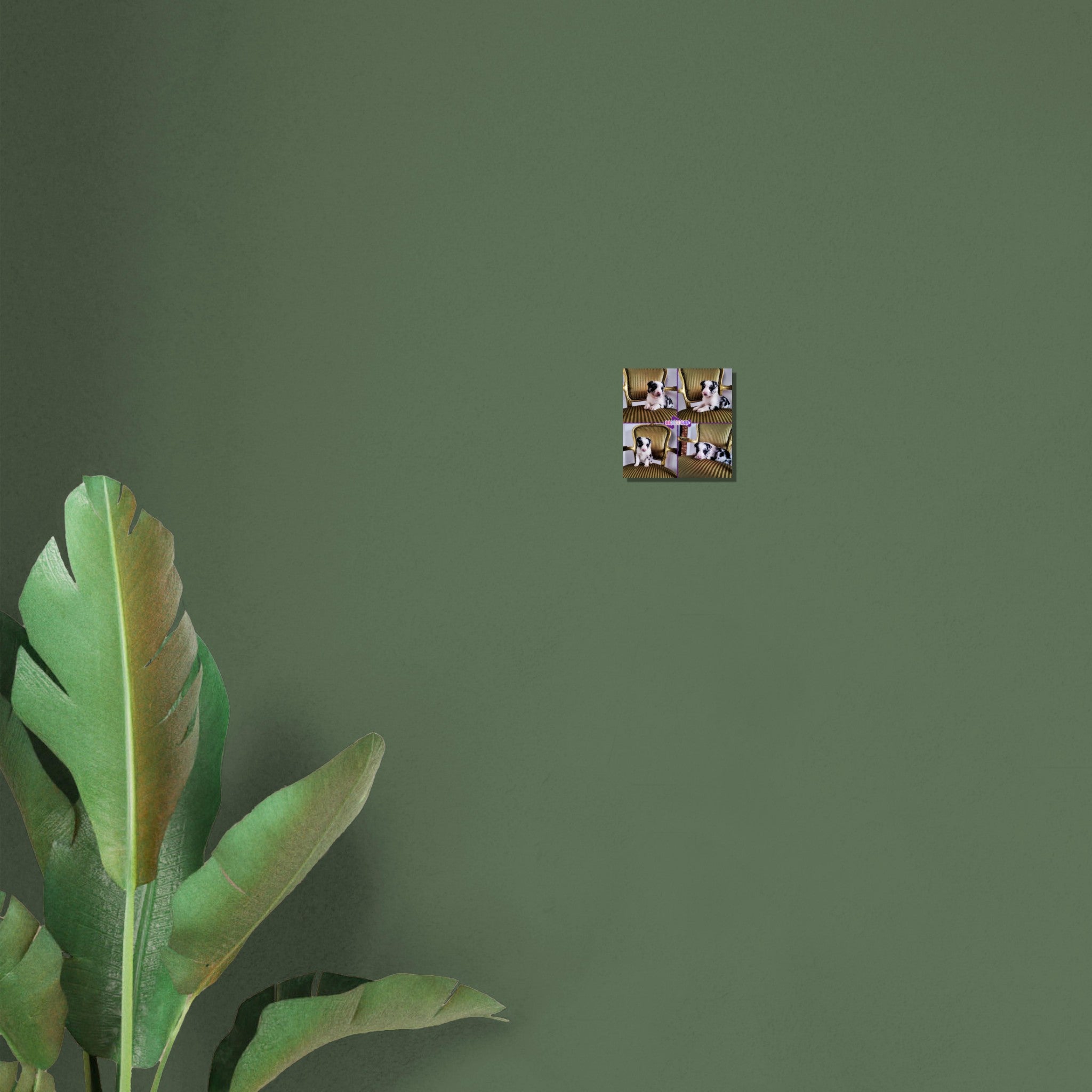 1a559c03-b2dc-478a-911e-66ed45105d05