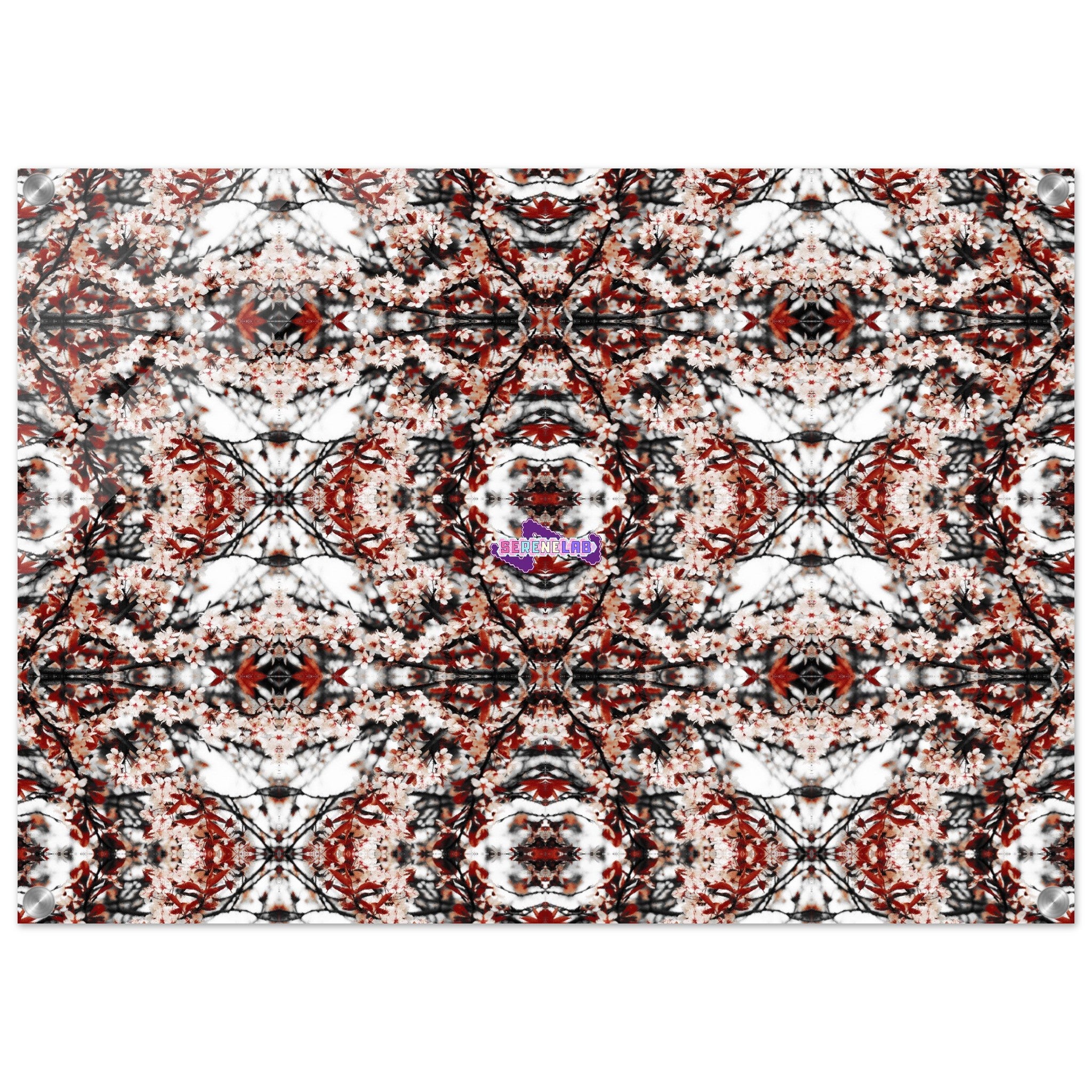 1f899944-b850-4856-bae2-fbd272876a2f