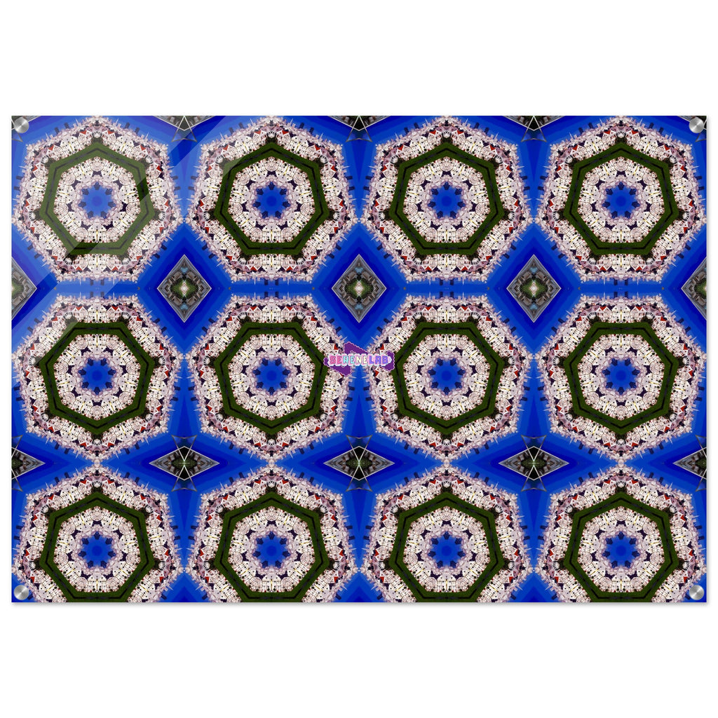 30b5055a-2200-424b-bbbc-f2d30f140183