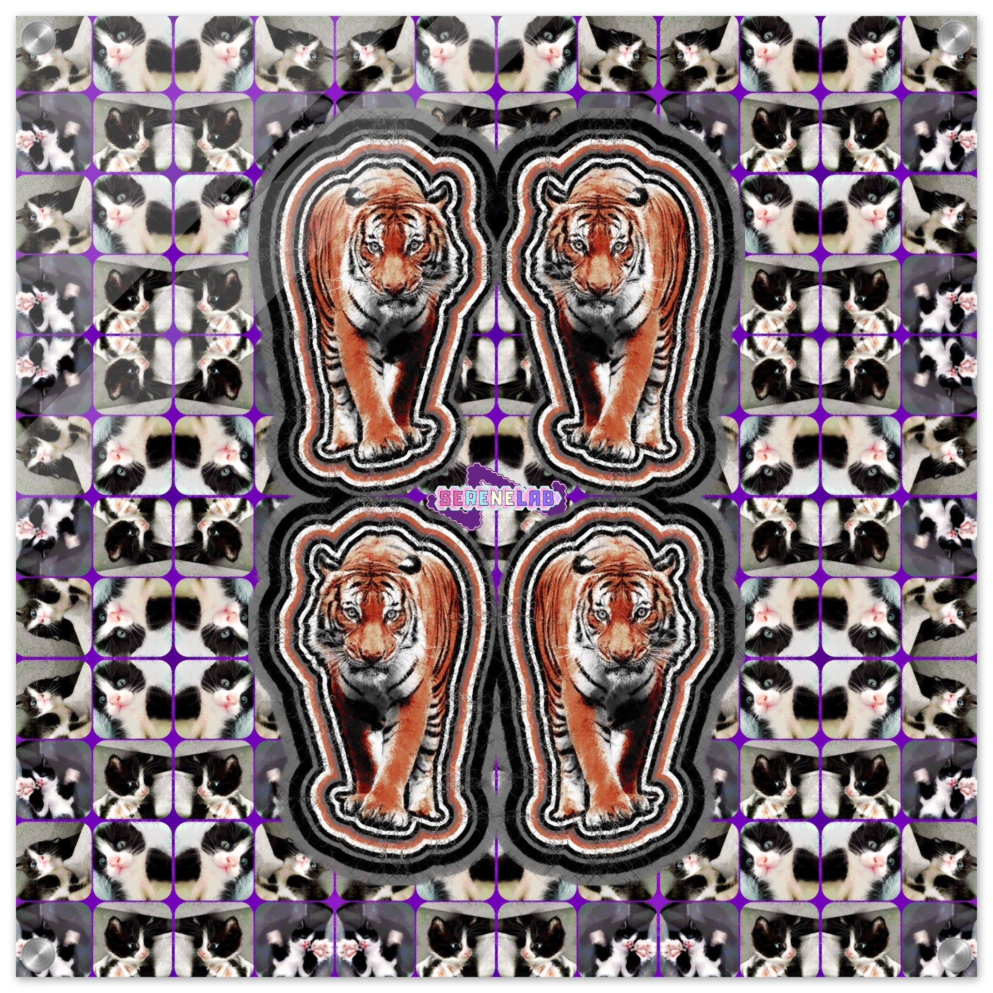 34062453-4aa3-46f8-bd92-c8cf103a5526
