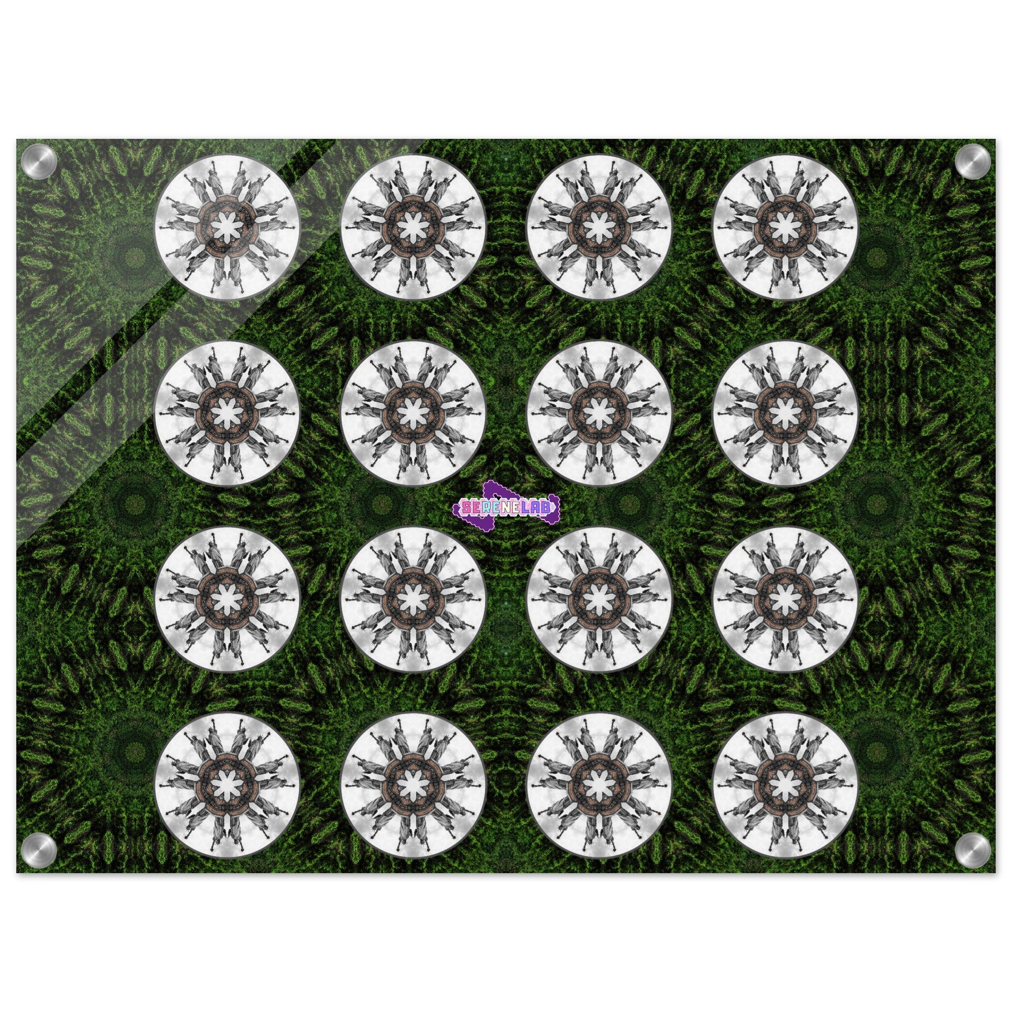 36dab11d-98d3-4570-92dd-f834d80e6dd7