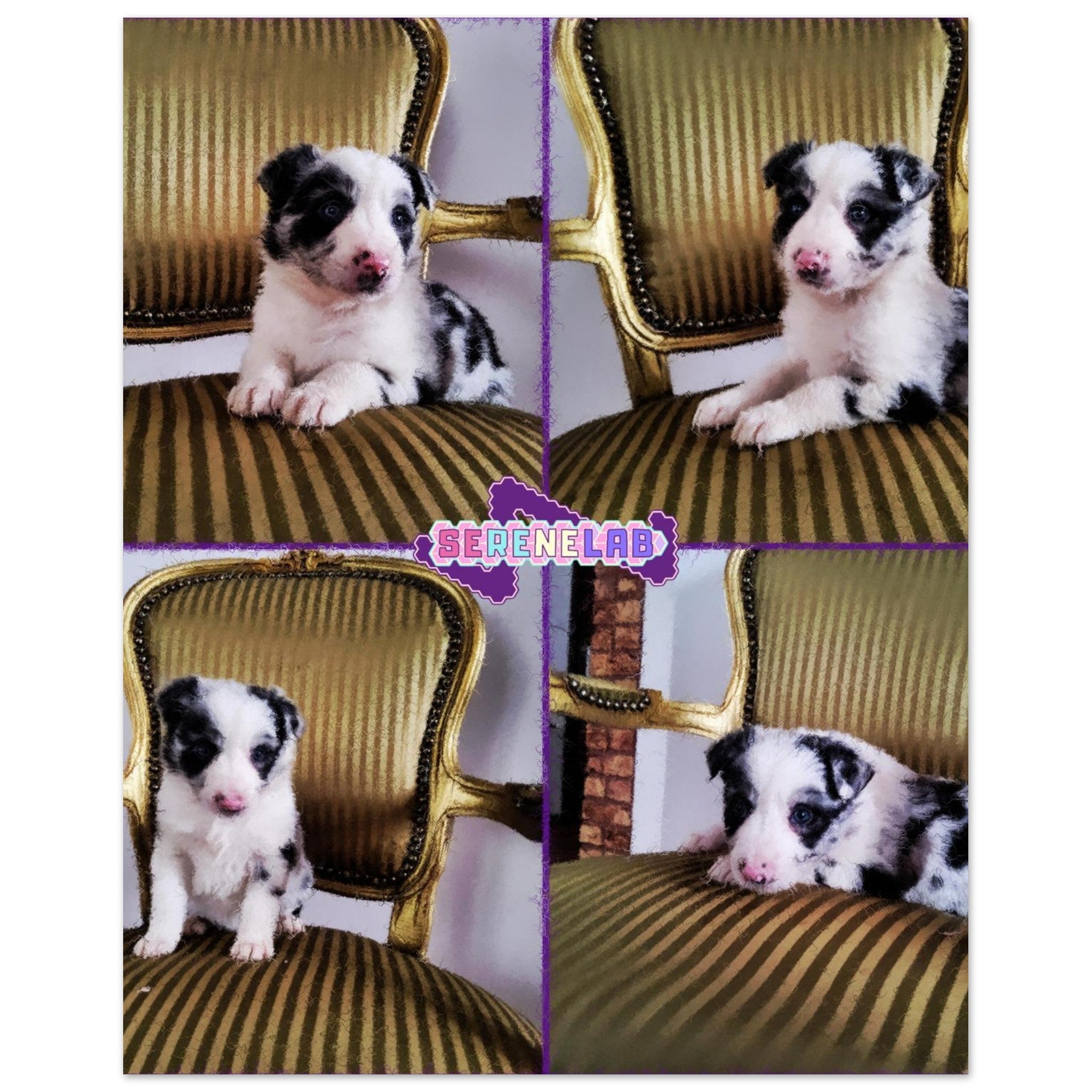 37dcac49-52a1-4667-b92d-036f500d55f6