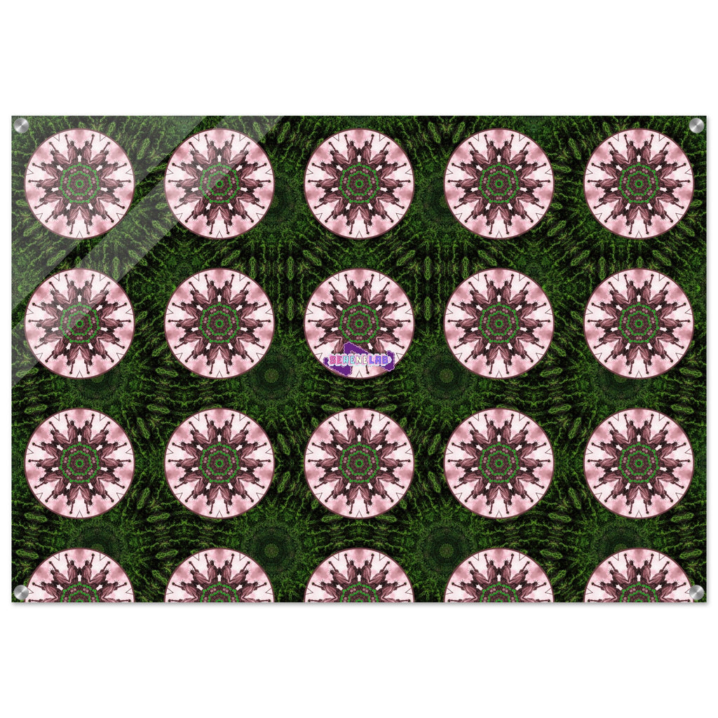3b1bd8c2-404e-4cc8-81b5-62ae8f6f520f