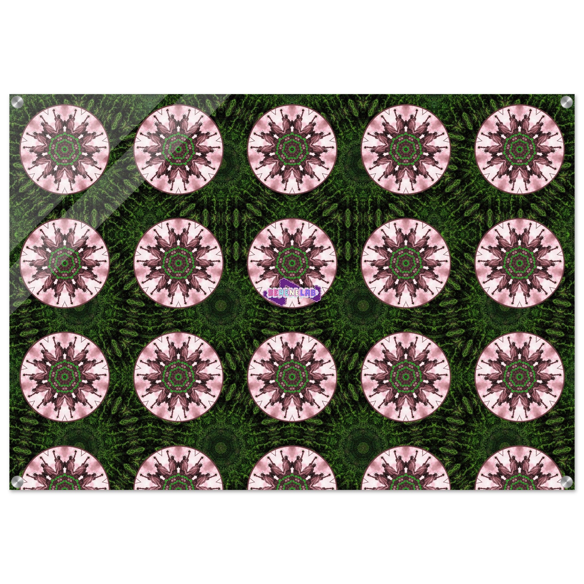 3b1bd8c2-404e-4cc8-81b5-62ae8f6f520f