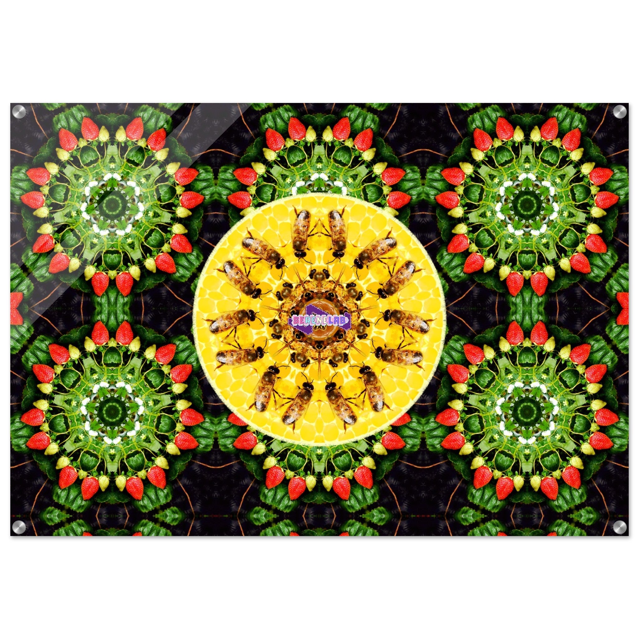 3b72af04-0bb7-4ce7-995a-1a13f5ff76e7