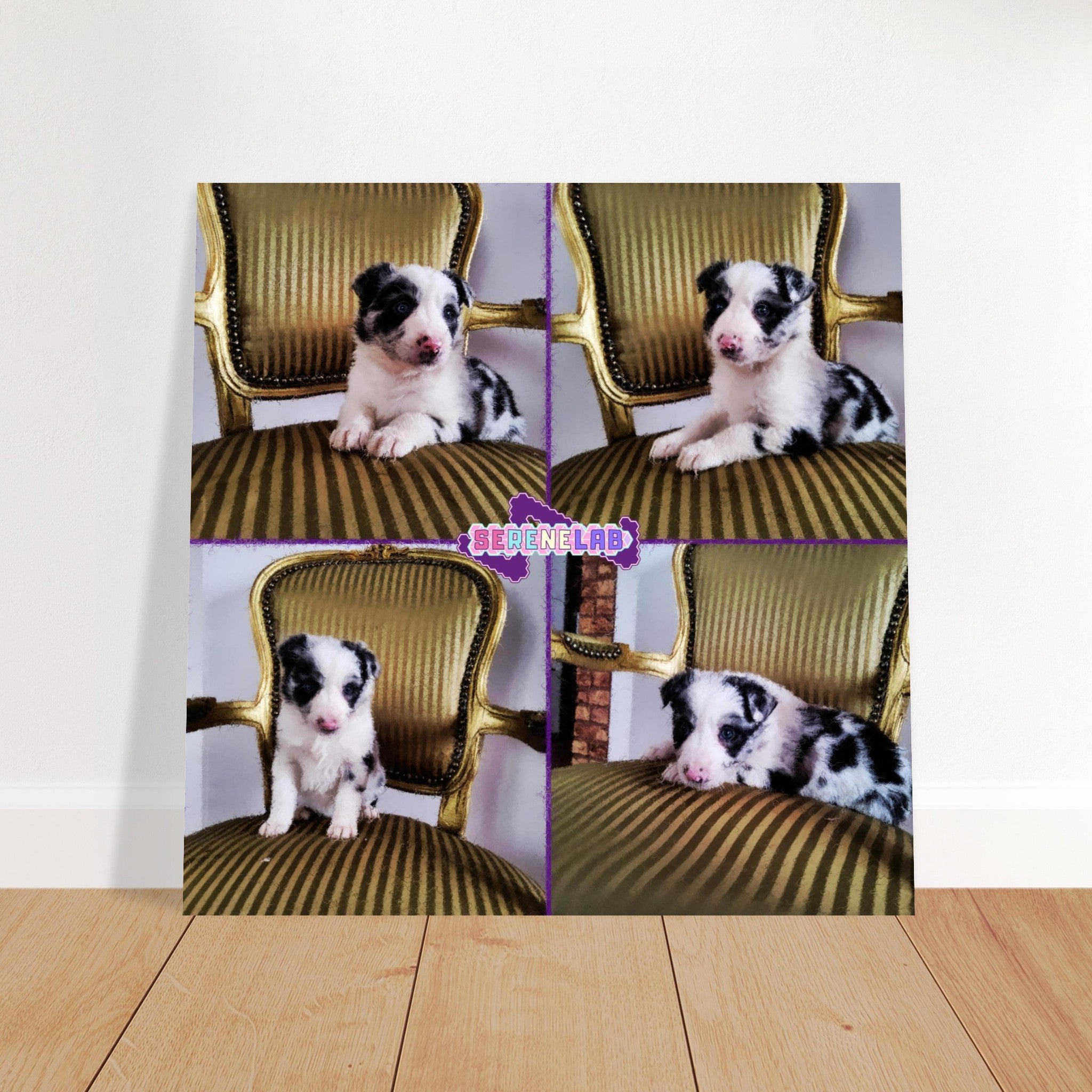 42b852c4-92e2-4ea4-86ed-1188e7d32341