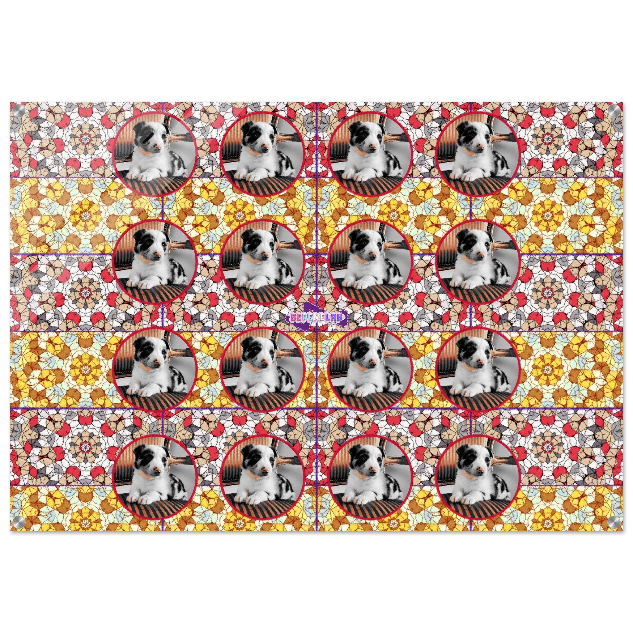 443225df-b79a-403b-a874-301ca090e4fc