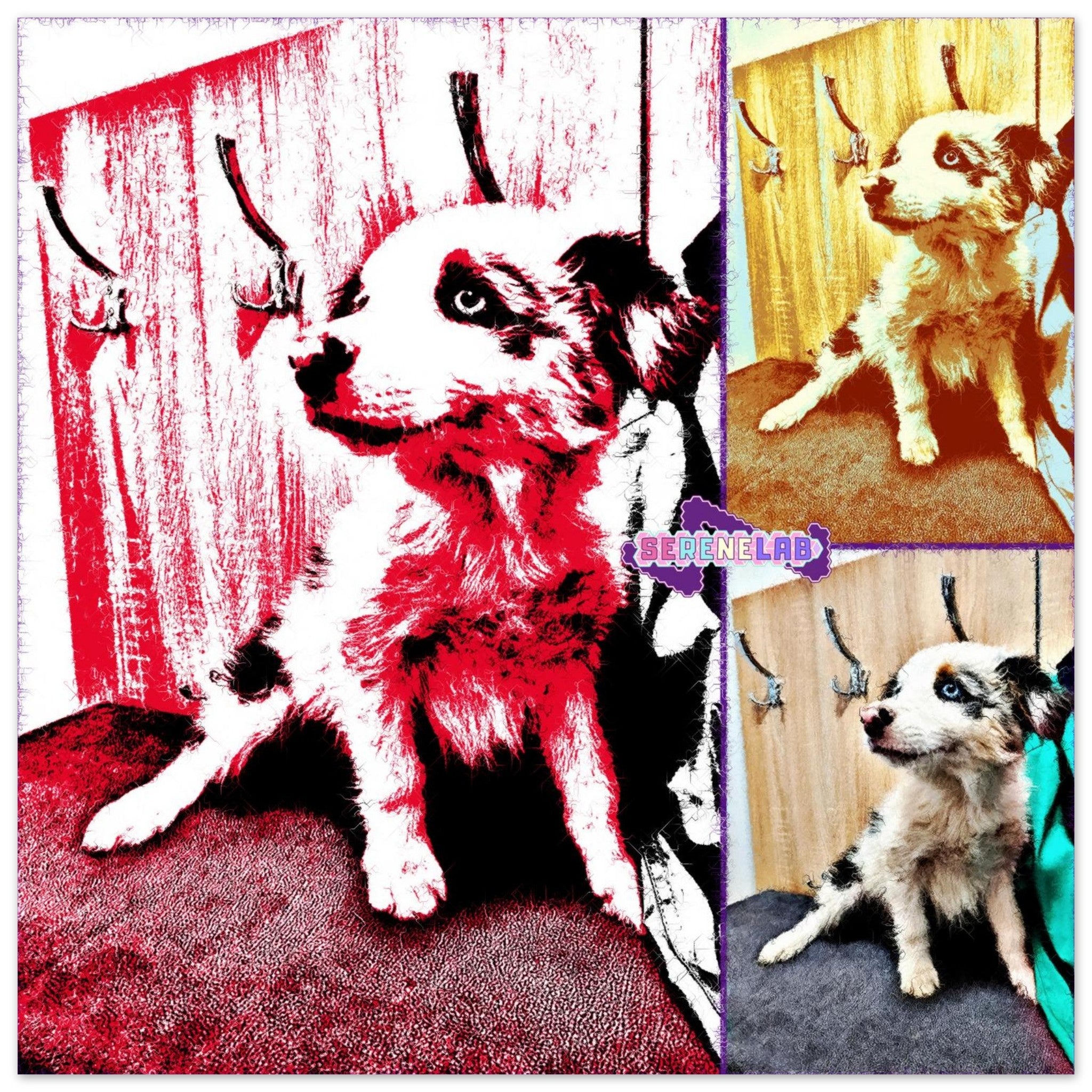 4acd7e11-ac25-4795-b9cf-d1e6e72dc249