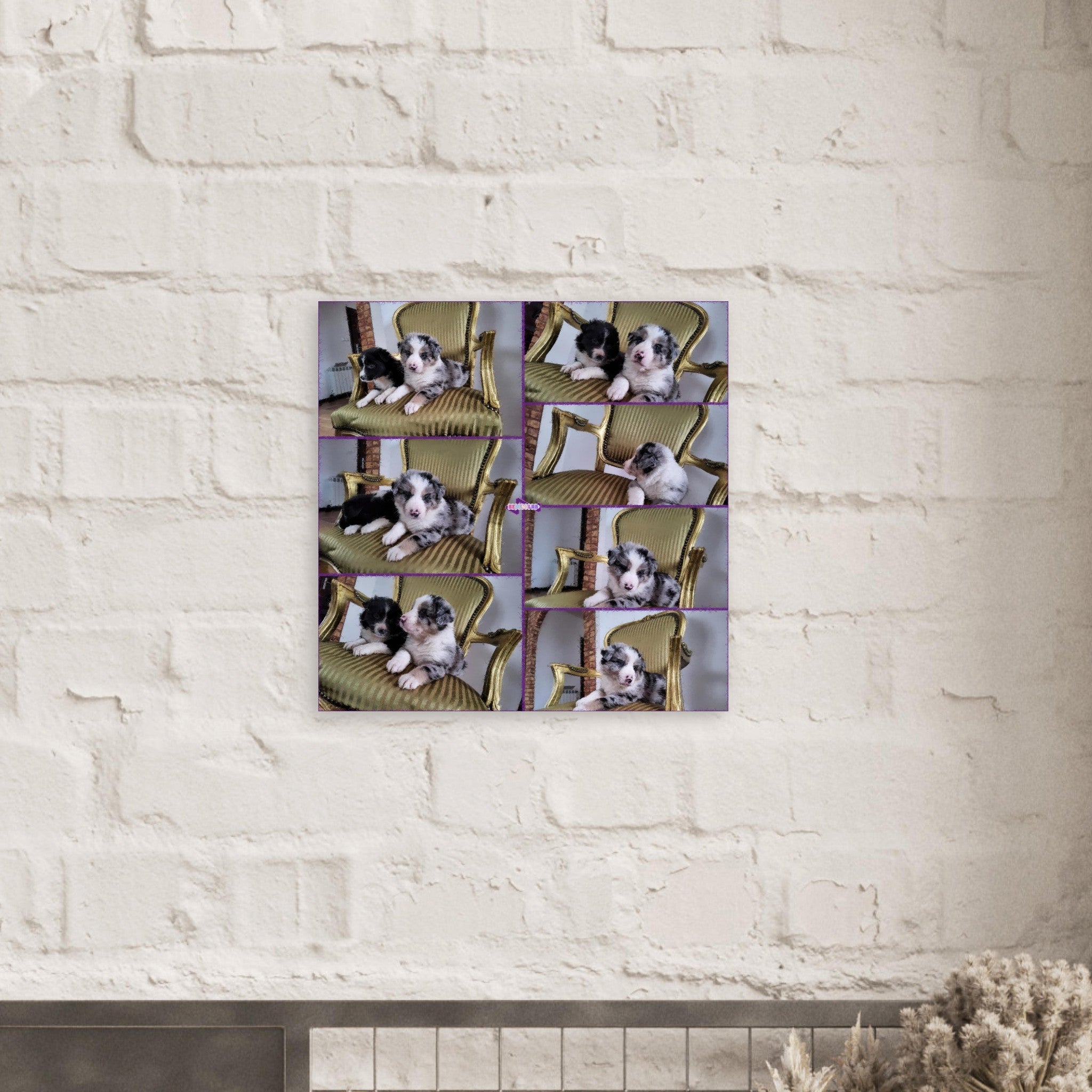 4ce09ae5-17d0-4404-8a20-1d236fbbd8ec