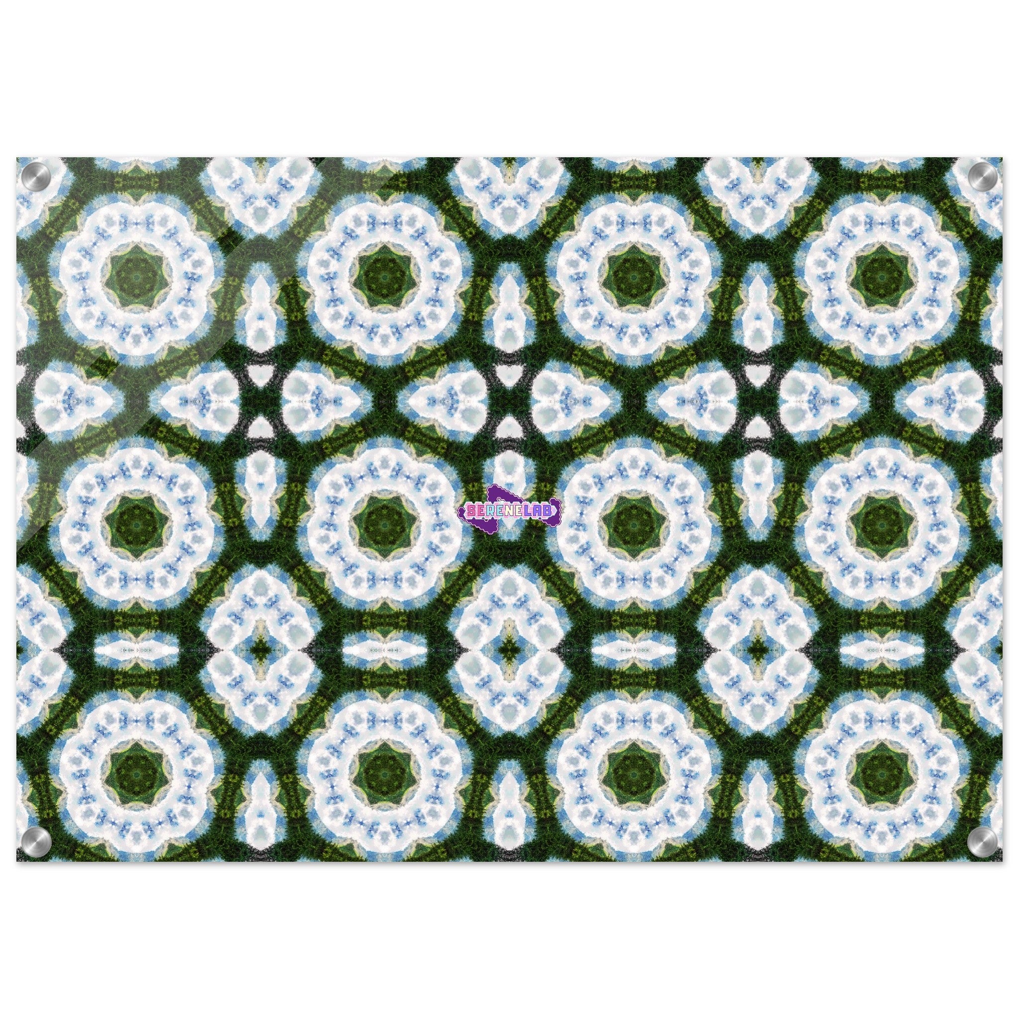 50c67358-27e5-4ca1-9f35-803399a7f2c0