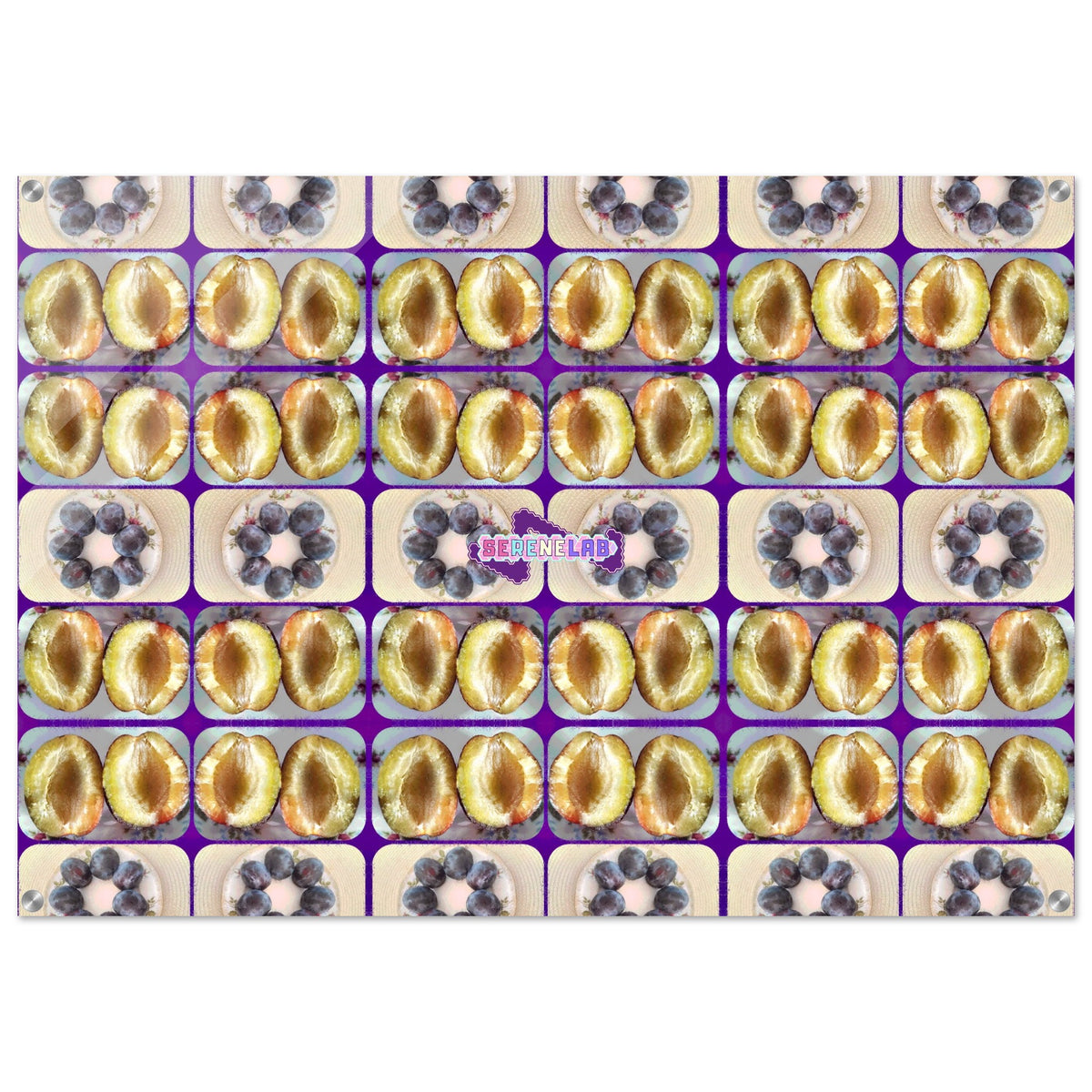 51906891-a33d-4e86-9073-b80bed72e63a