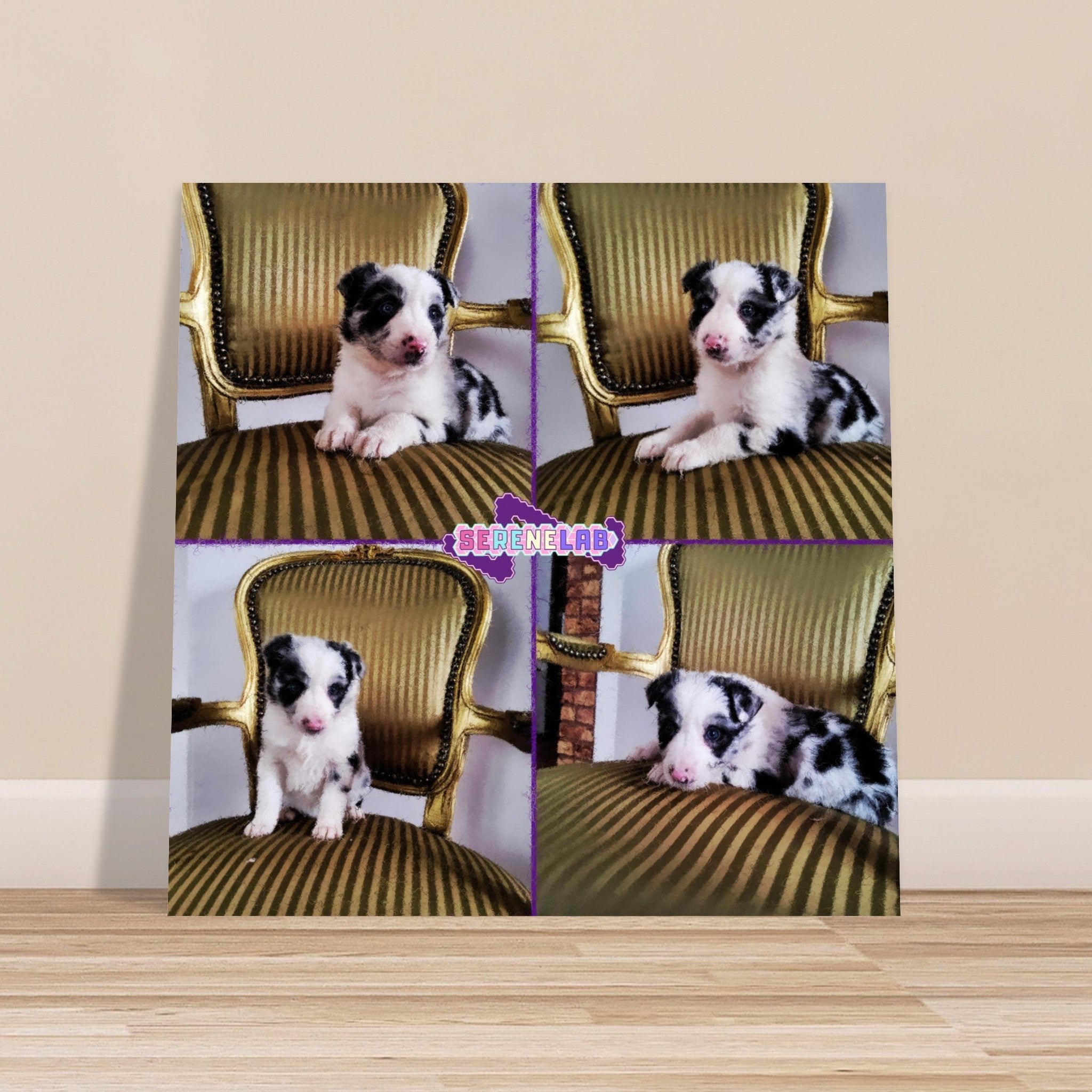 541b047d-f294-42b8-b9c6-f2666c3cf425