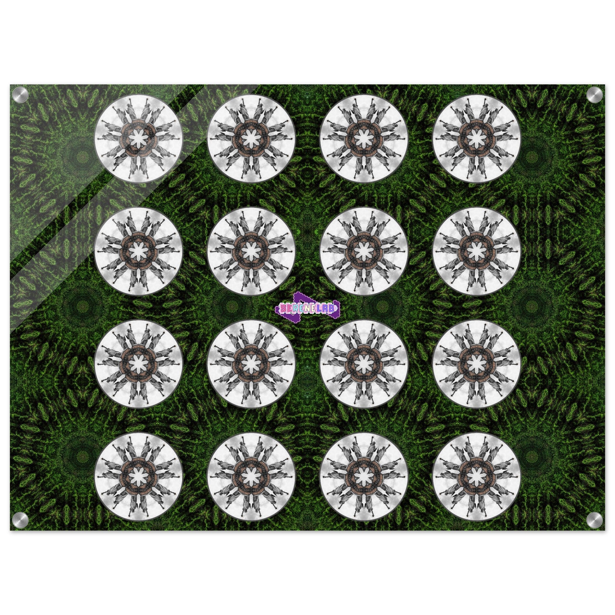 56fdc606-fbc8-49e5-a86e-d9de0a3e4be0