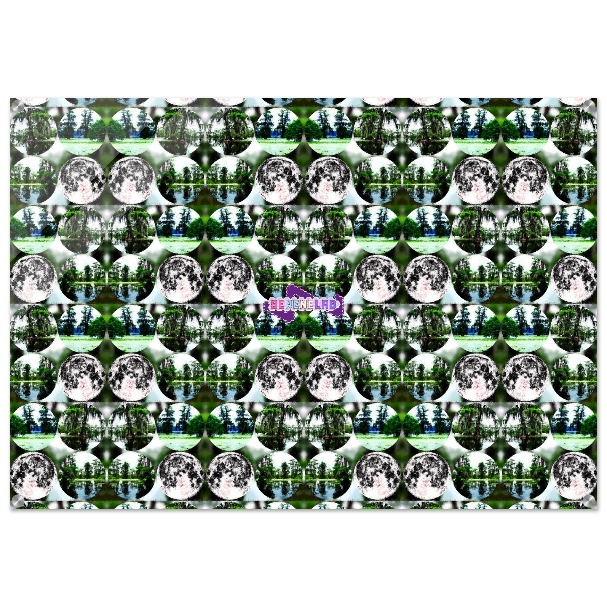 5a58edd8-f91c-42be-b017-57097e2ba973