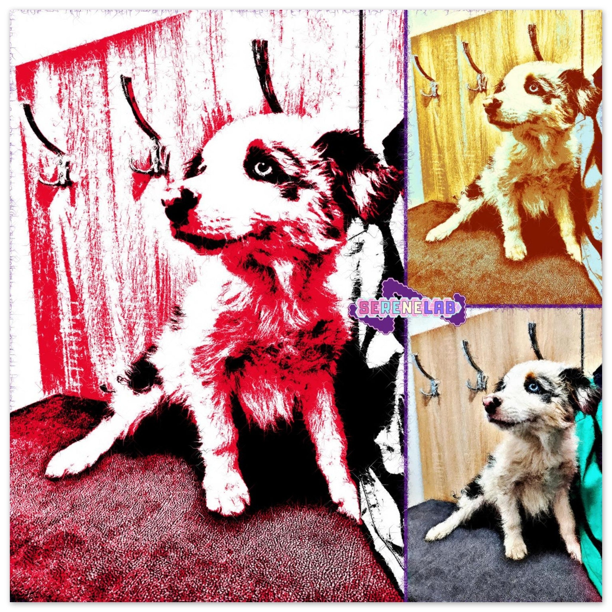 5bc5b2bc-710f-4294-ace9-8682877fe553