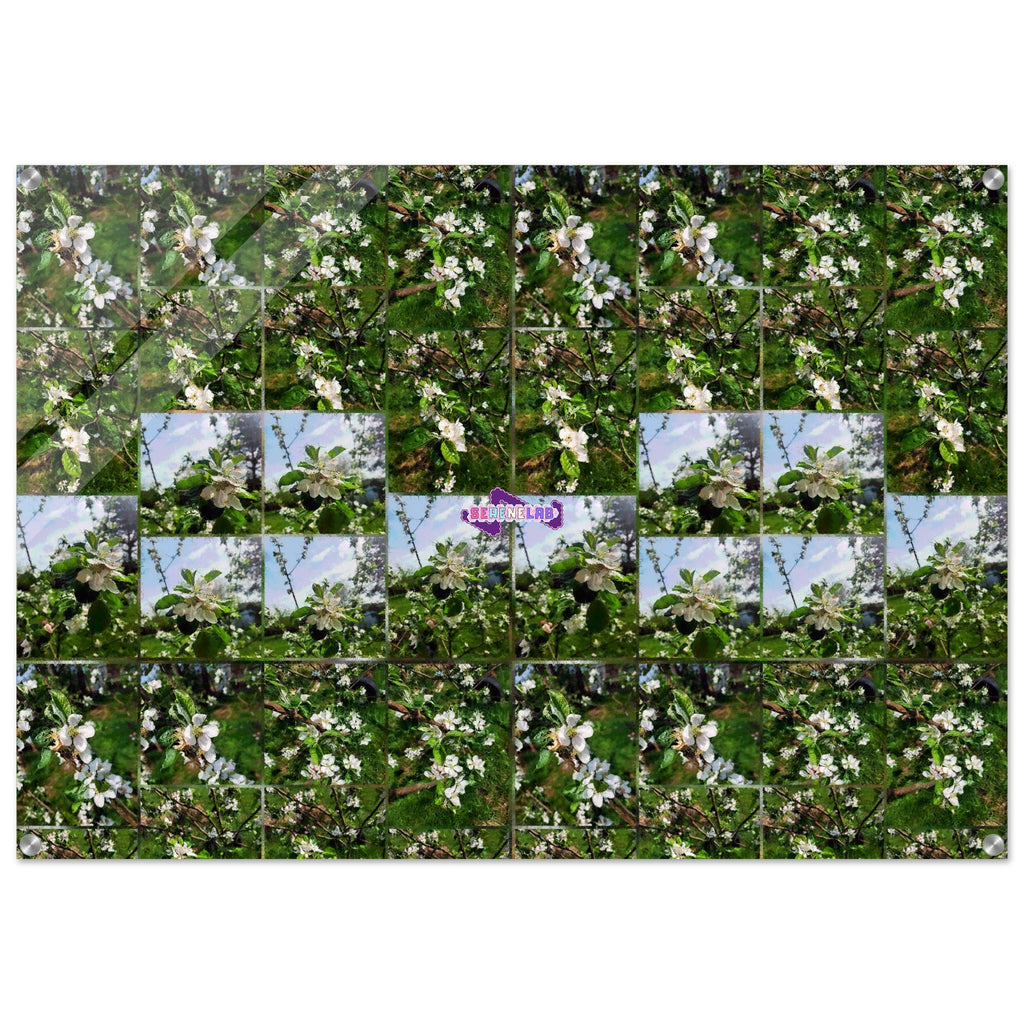 5c323921-c944-4ef3-9ac8-88d008e5627d
