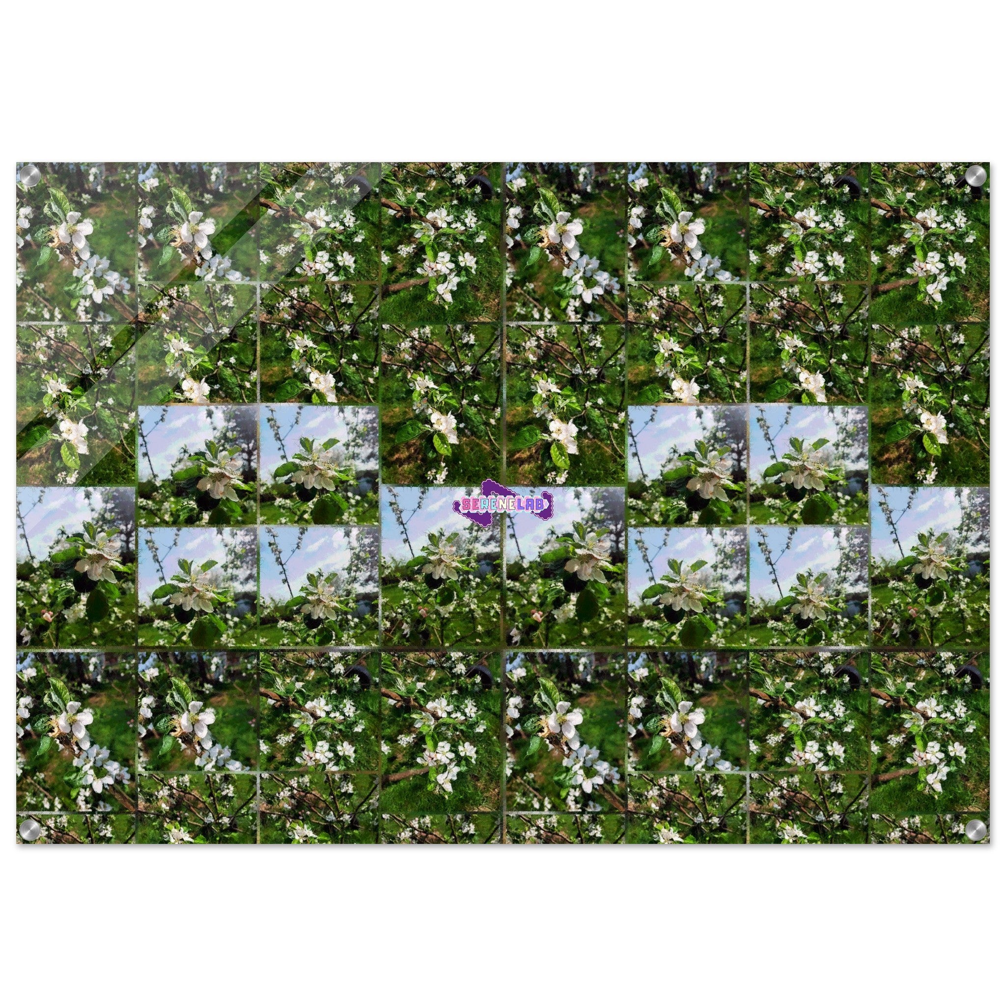 5c323921-c944-4ef3-9ac8-88d008e5627d