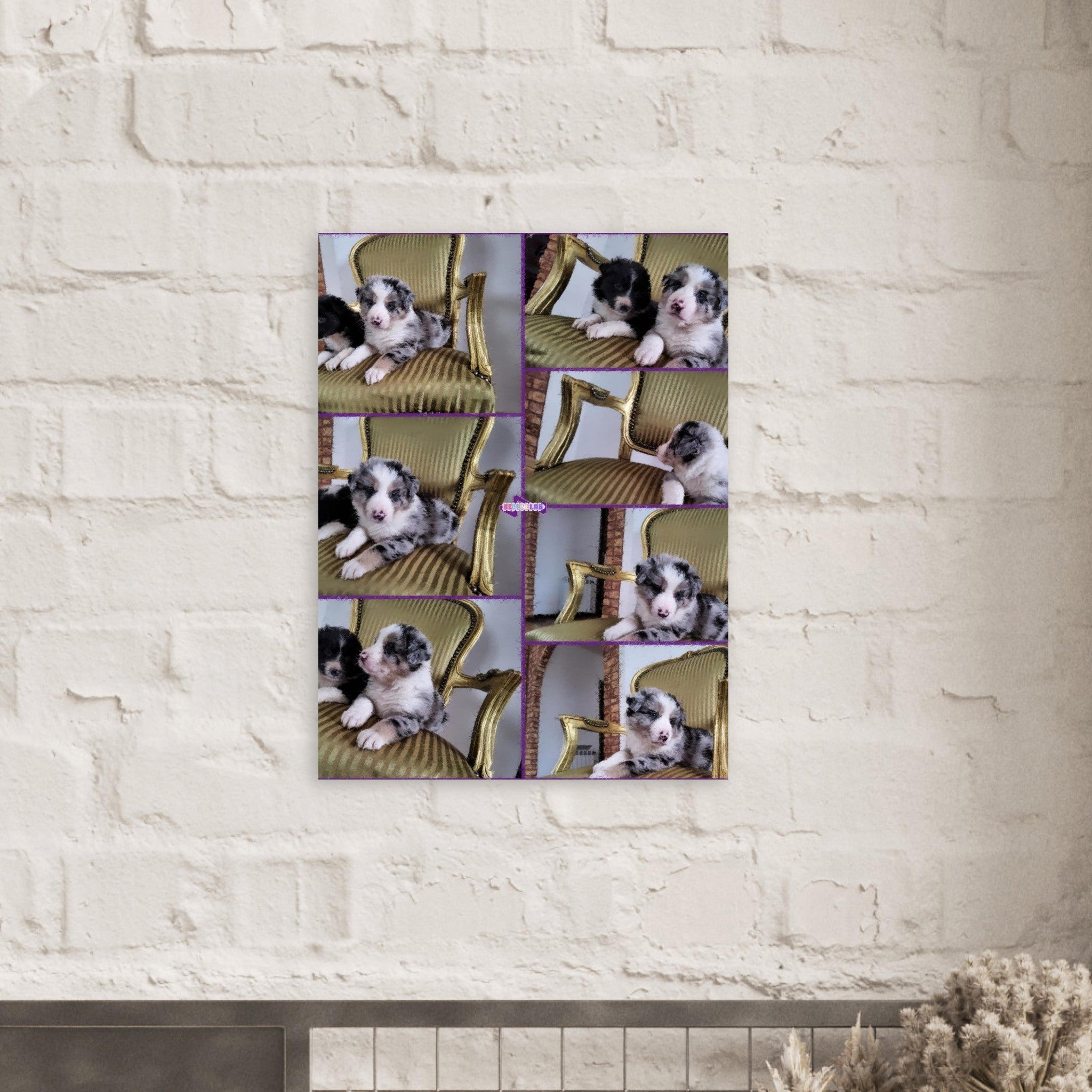 5e54f963-7430-42af-87f4-cda4c8468506