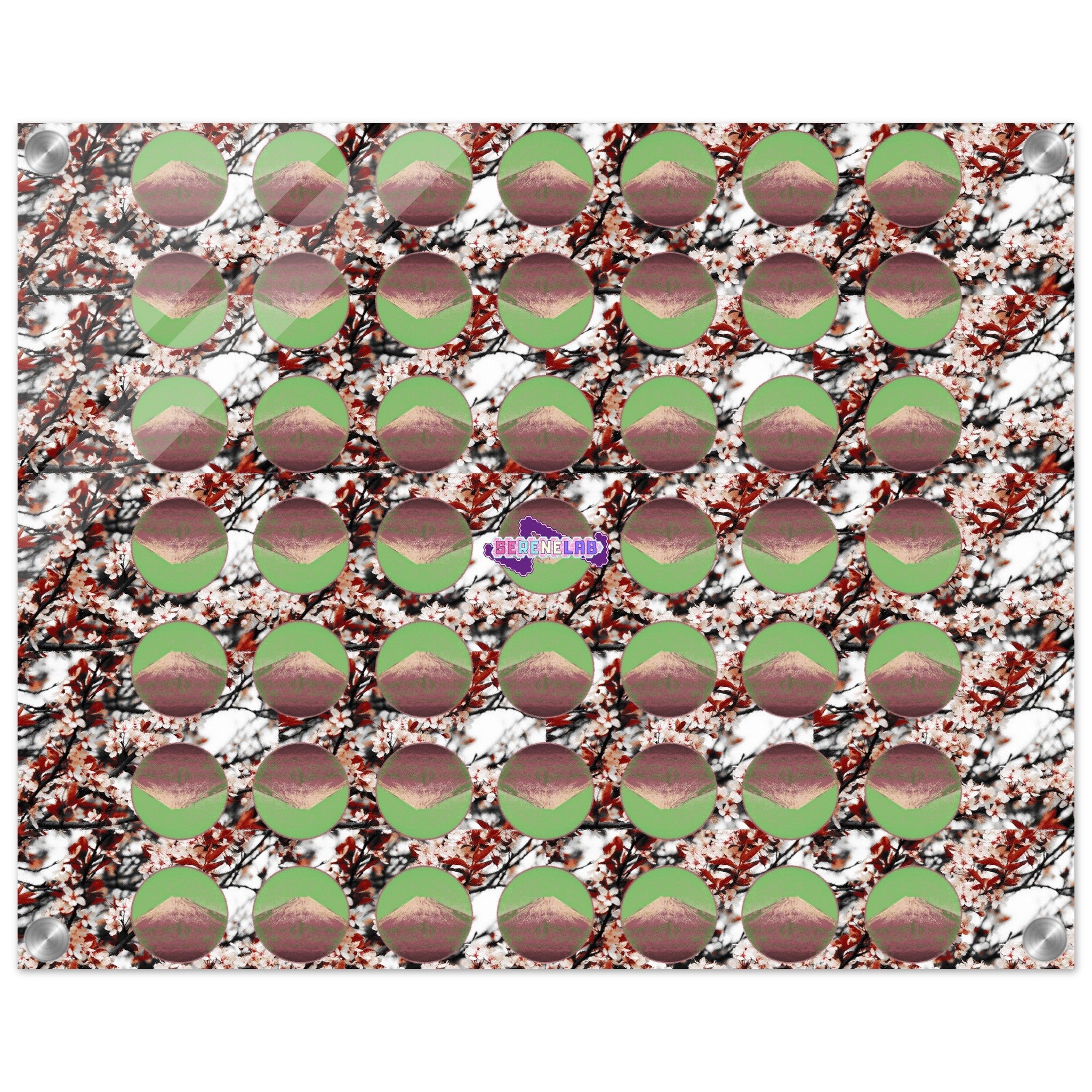 66b68289-4db1-4b91-803c-8776523f90d9