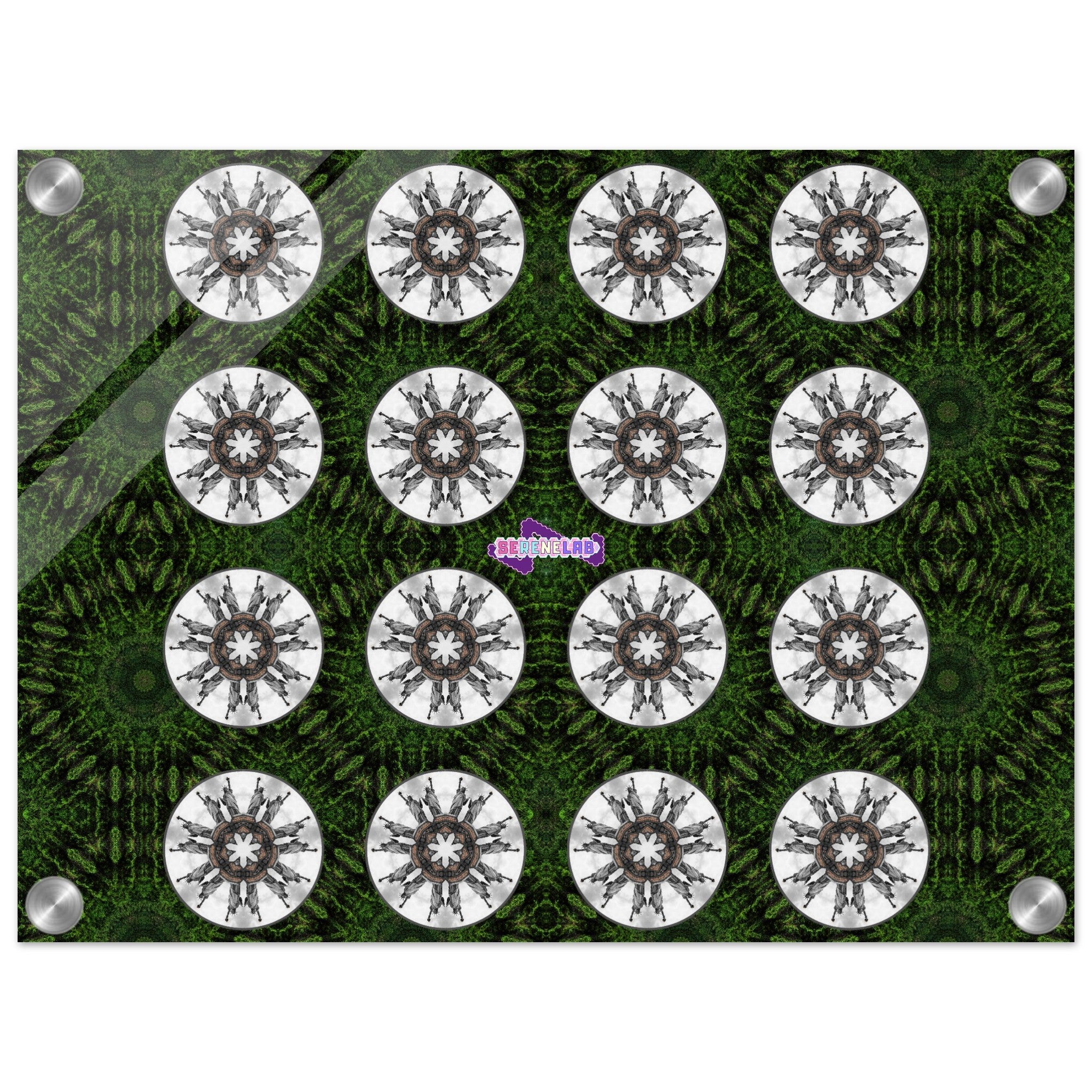 74105193-1b25-430a-90ed-70398d74ff65