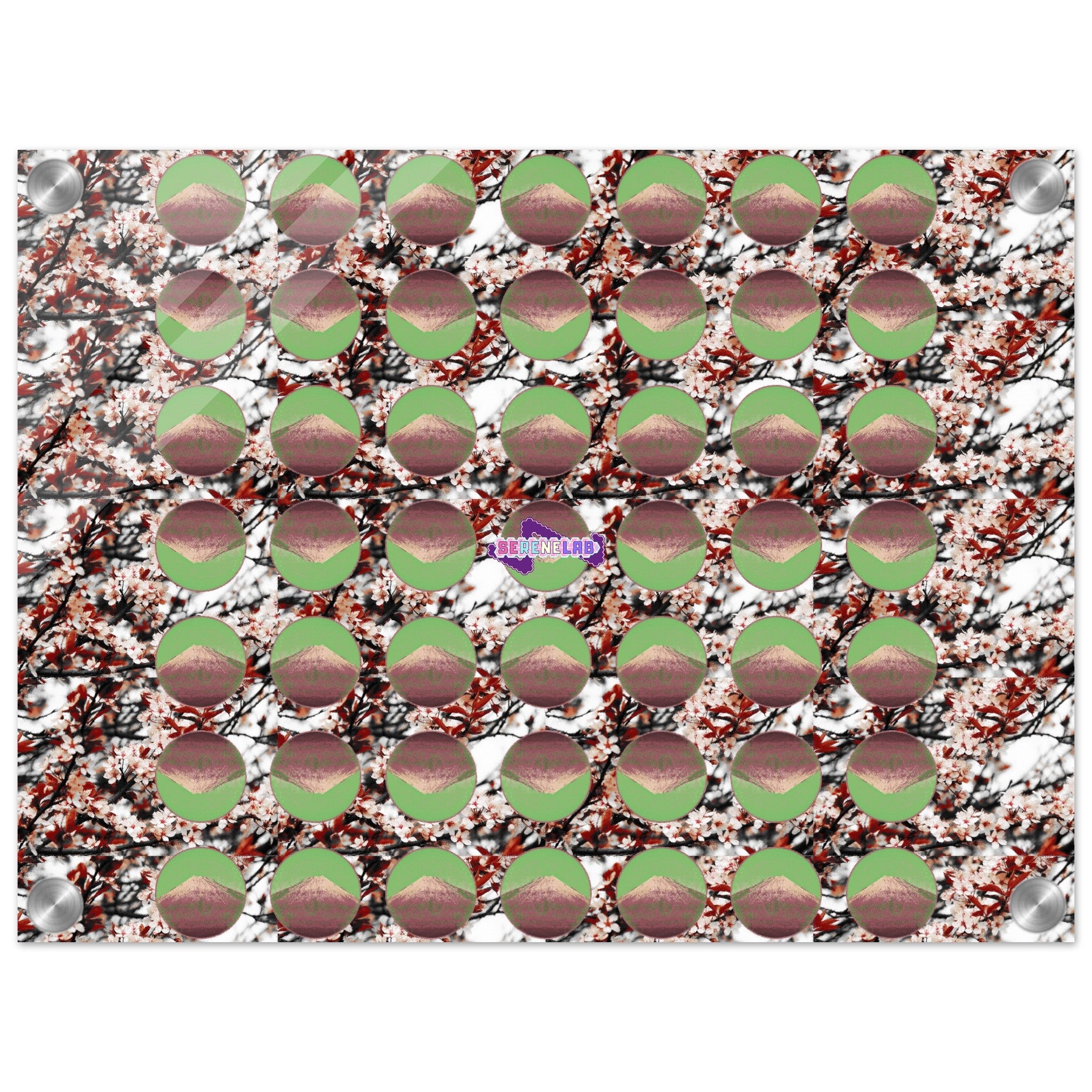 7a484078-6023-4386-aee5-e5c58975a005