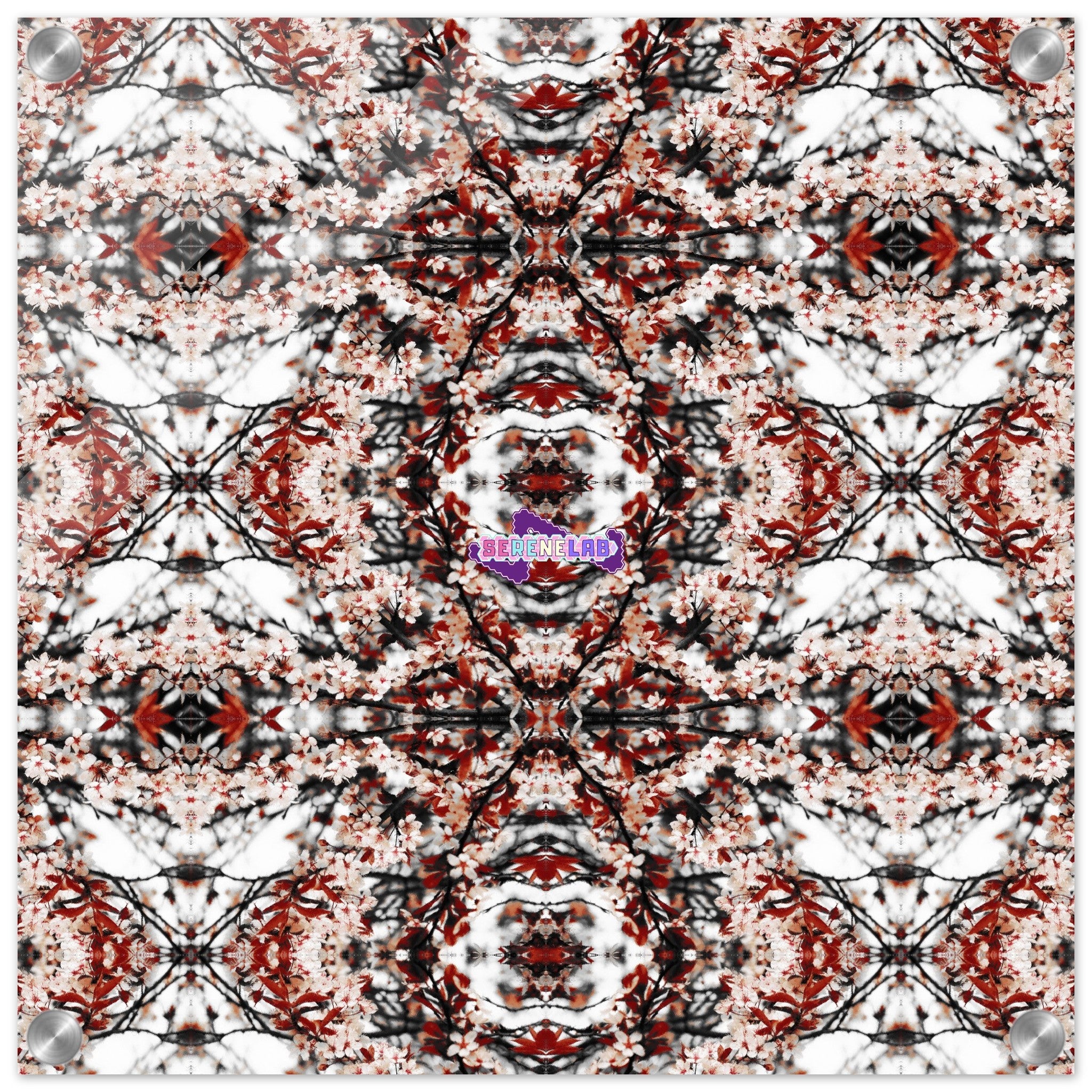 7e81d3dd-51db-48f8-9dbc-233c5fb99311