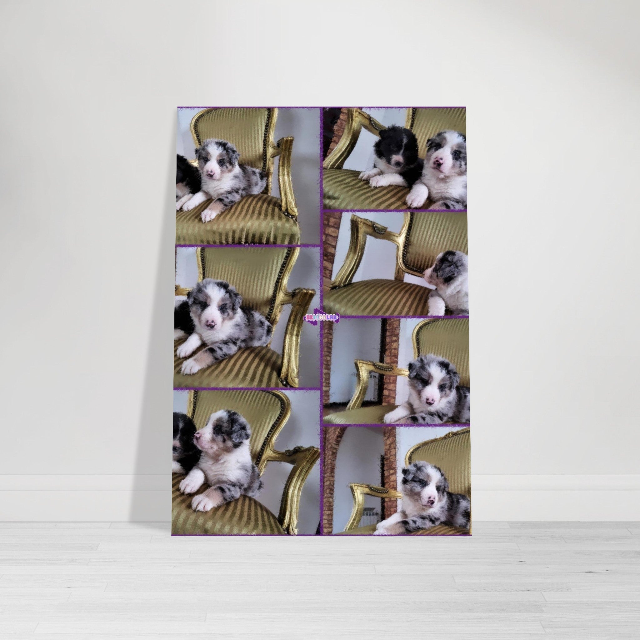 812f081f-462e-4dd4-a62e-11d03d0bd003