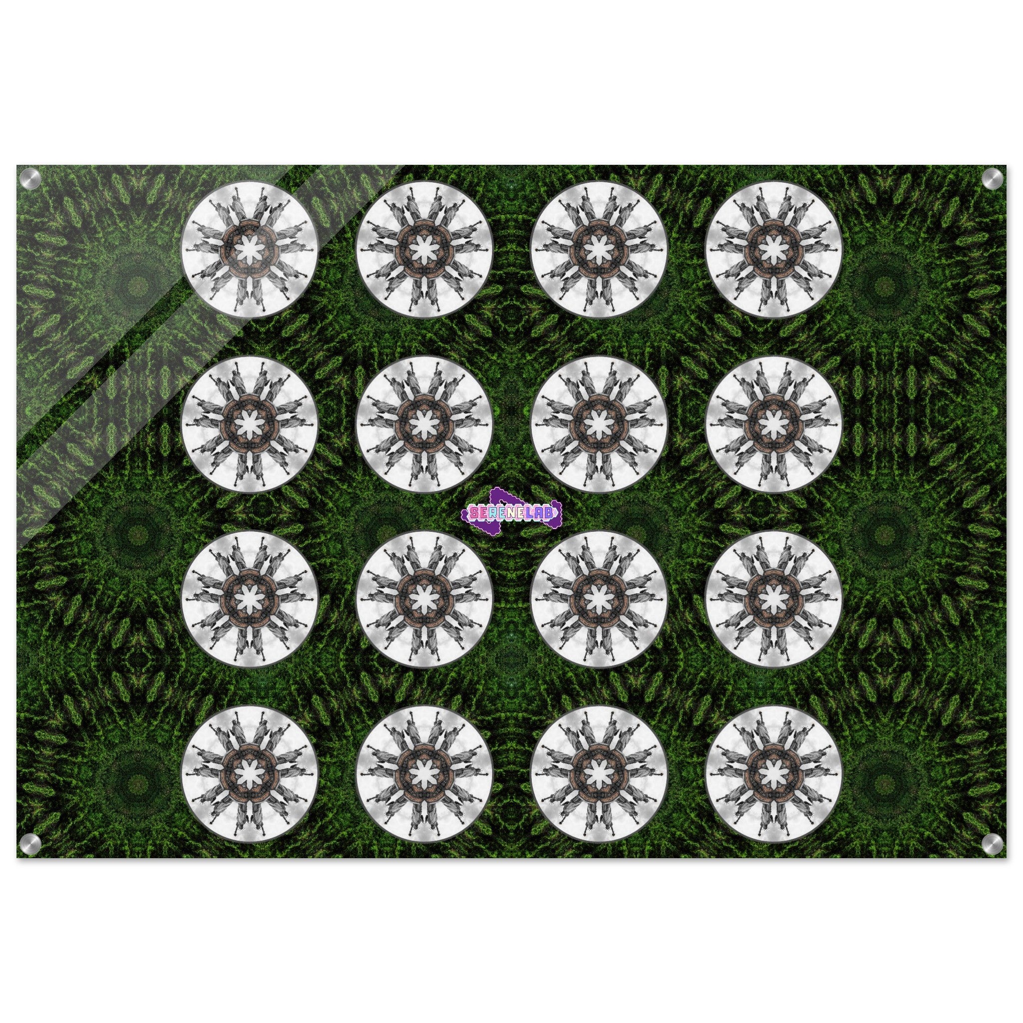 89e6928d-5c86-4656-b4f0-023e851513da