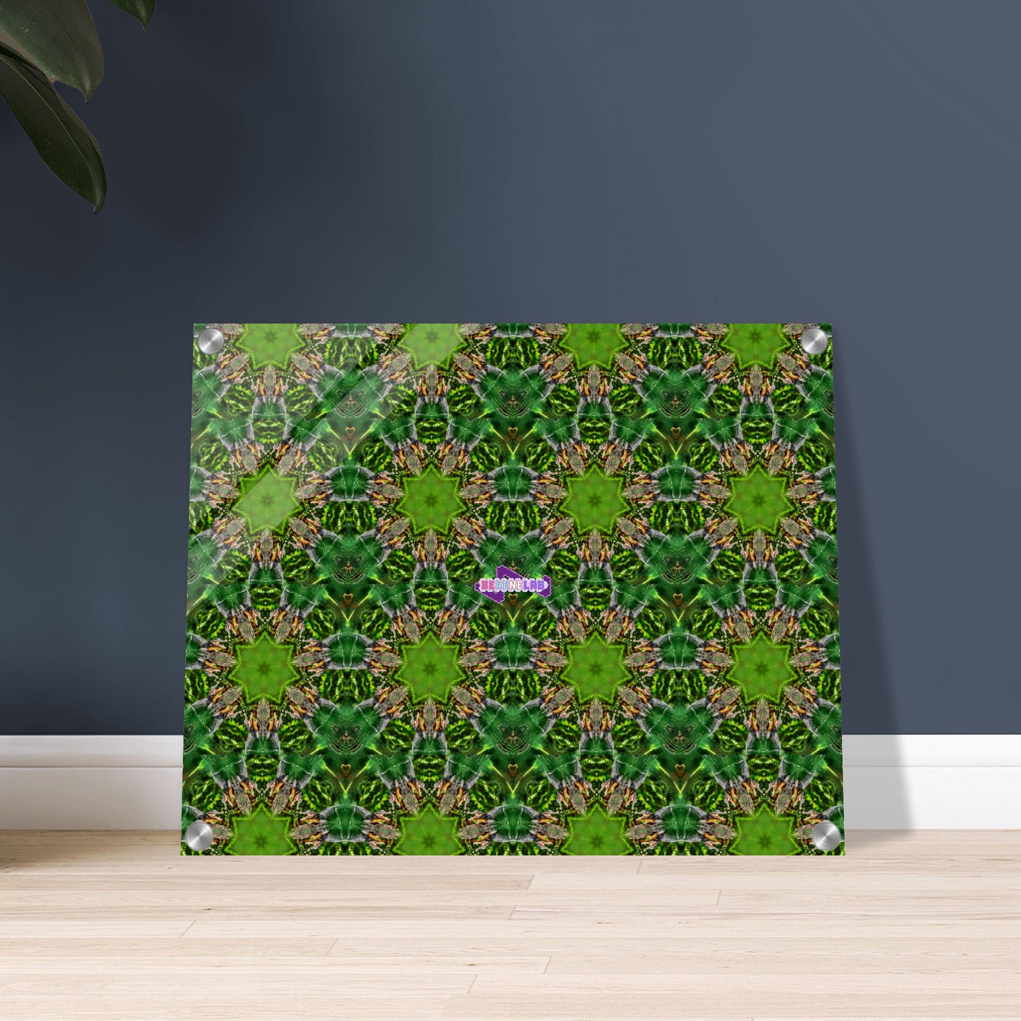 8a0588ab-6556-44aa-b420-e9a0caa4e836