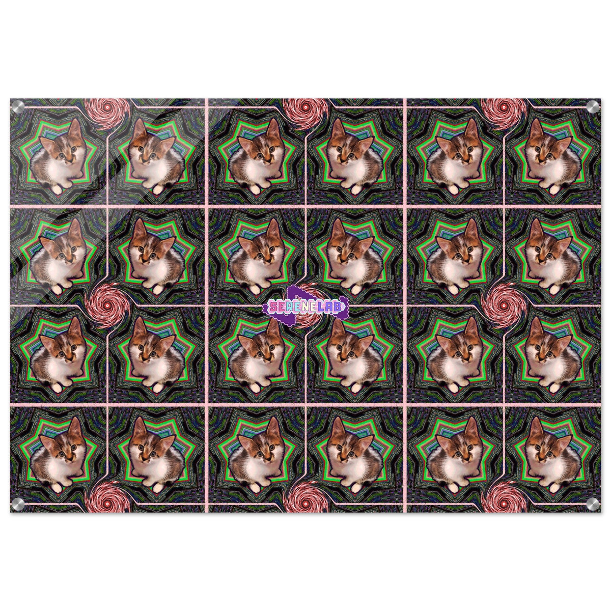 8fd3e937-806c-4fe9-ae31-4d54ba886390