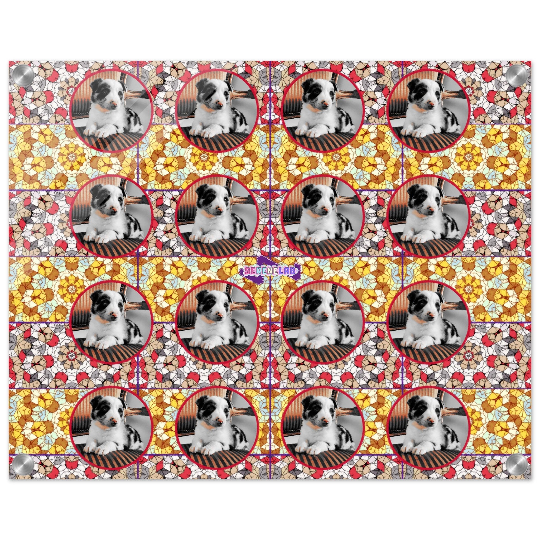 90648201-1043-44e0-bc01-95c9698e2028