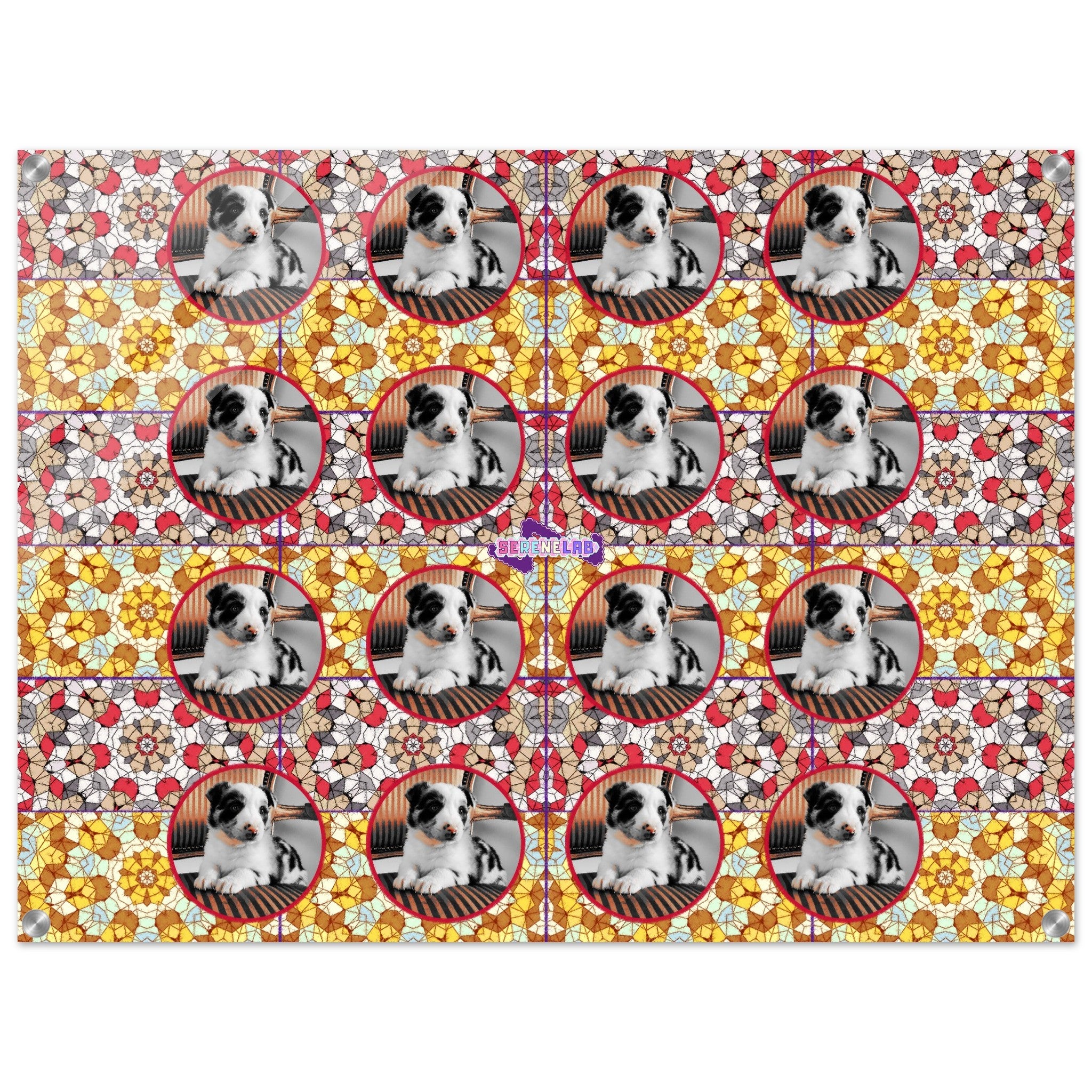 9a0cd3ce-edcc-4e7f-a92c-9375ddb01f56