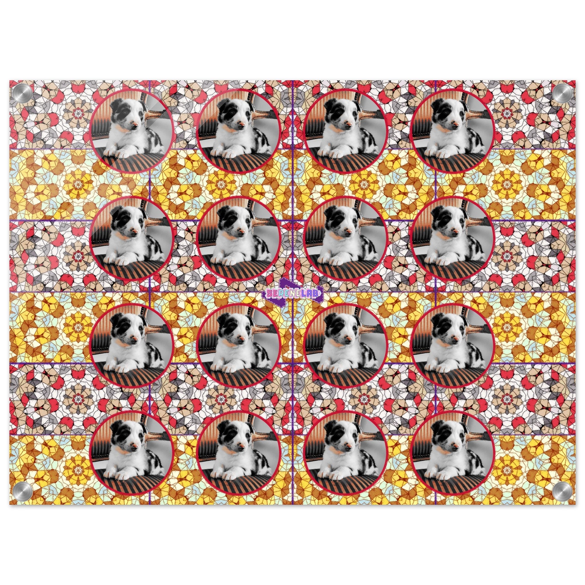 9c8e205b-dc5c-4fbd-9fc6-00e82793c7a8