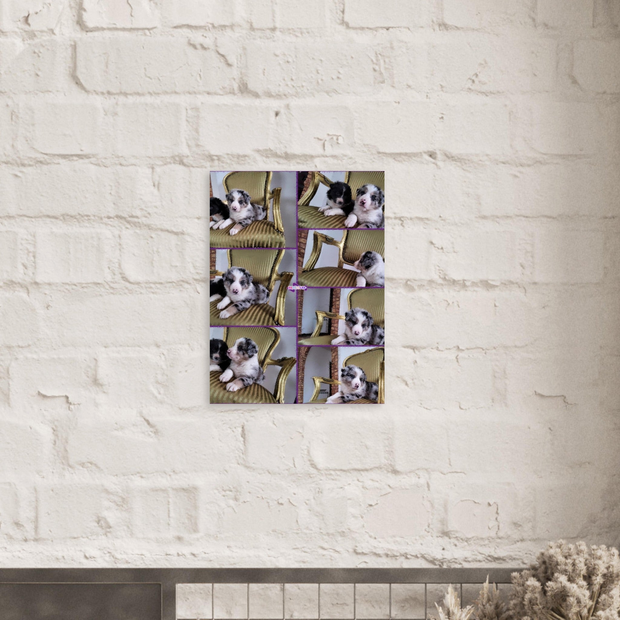 9f728aeb-058e-4b65-8c3f-1627e205f6dd