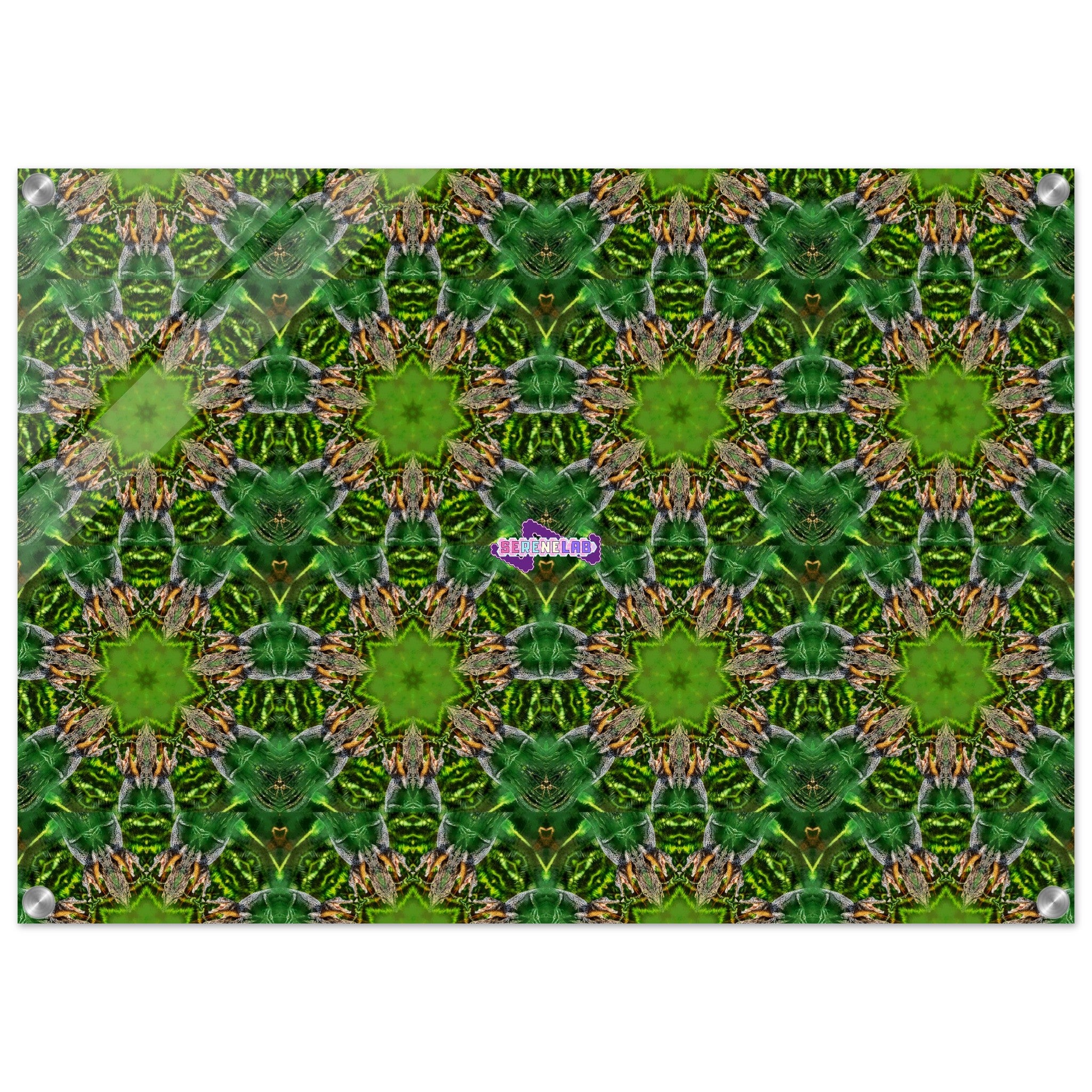 a84c5029-599c-4aea-ae6e-522aed85128a