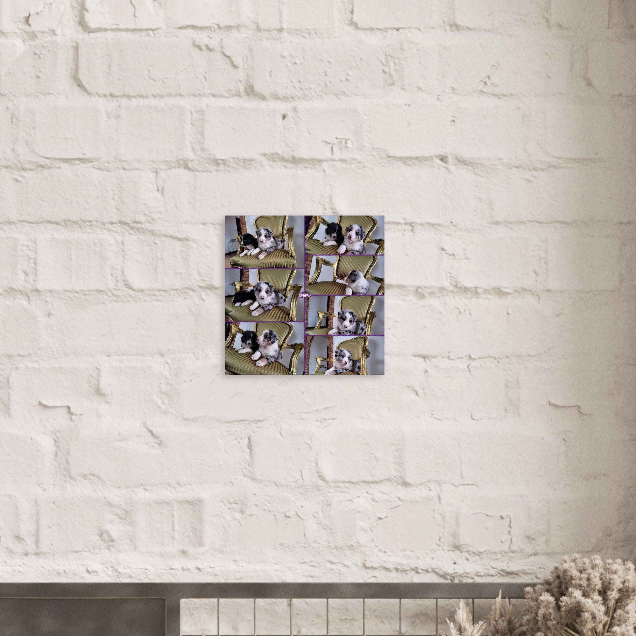 ae643b71-64ca-46cc-bb1b-2ac644112631