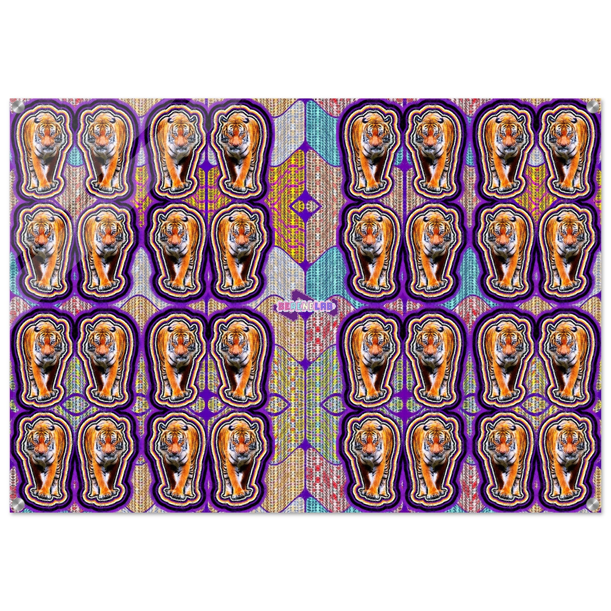 b0895251-067d-4854-89fe-bf497d43897c