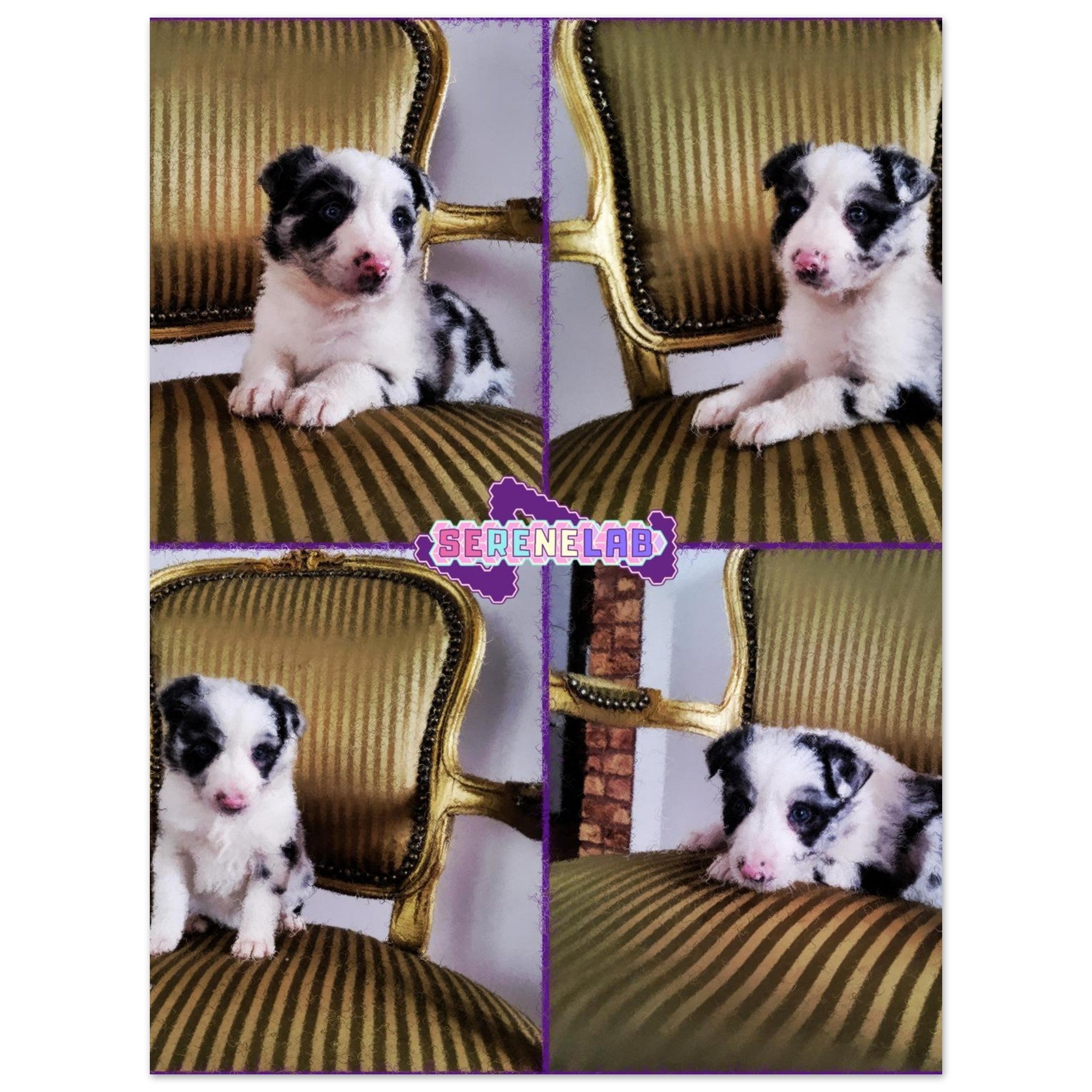 b2f8db27-dadb-4197-9170-e5731a59b93f