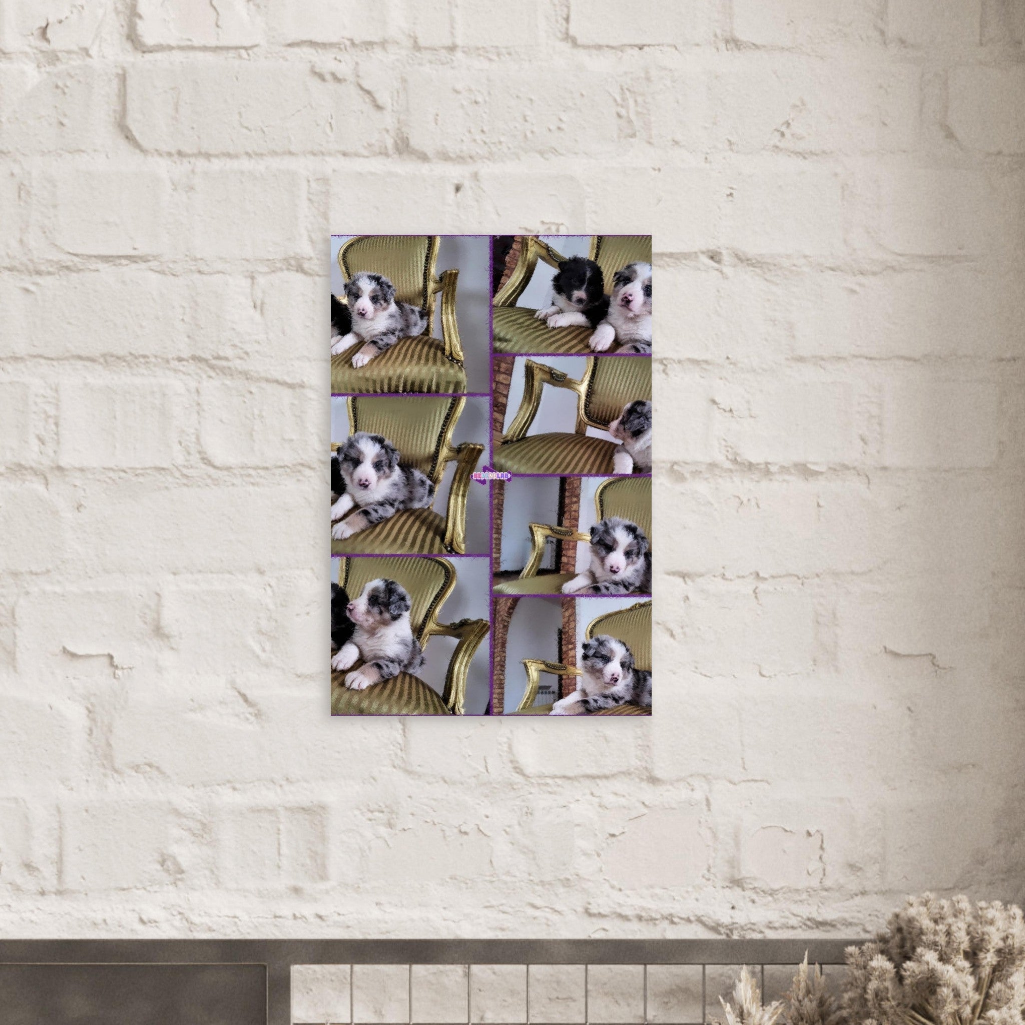 b42b8954-50af-45cc-a970-e335443a1757