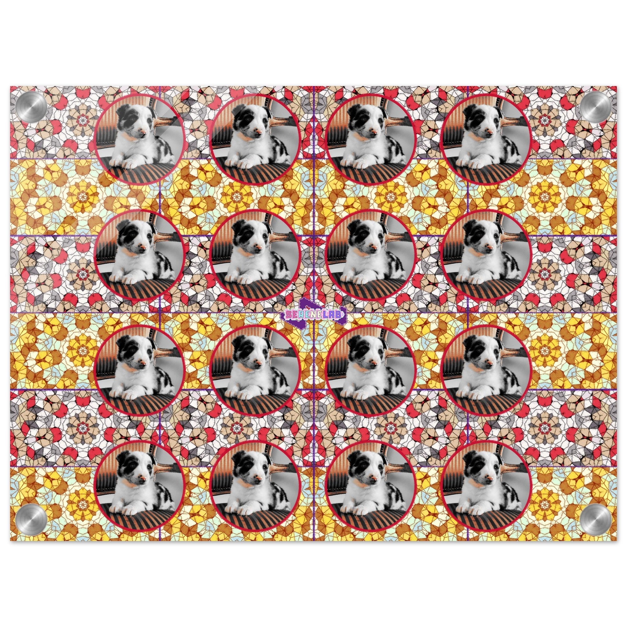 b48ac3f4-cb7d-4ca8-9312-8cb39609a873