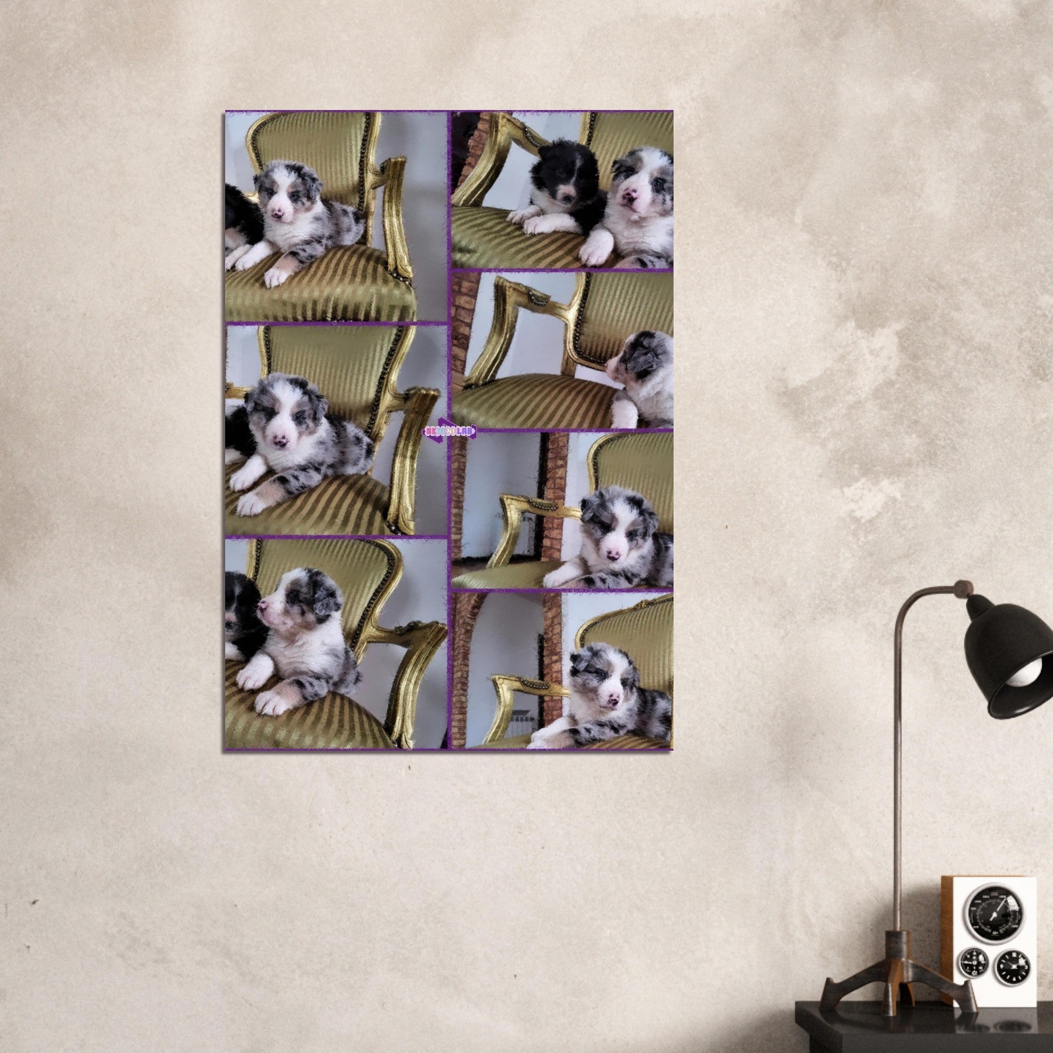 b4950c55-f2d2-478c-ba30-82fa307c4cb4